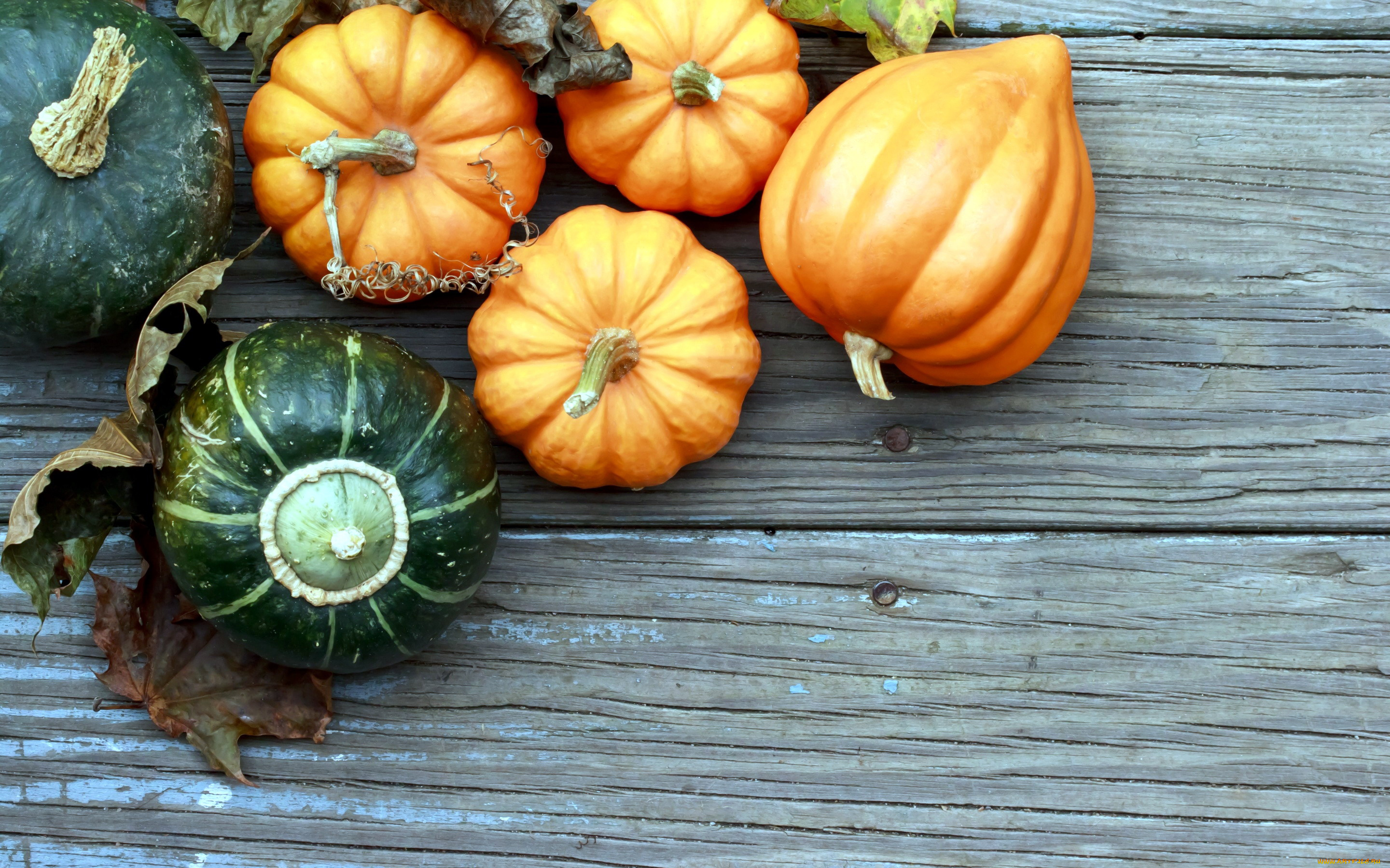 еда, тыква, урожай, осень