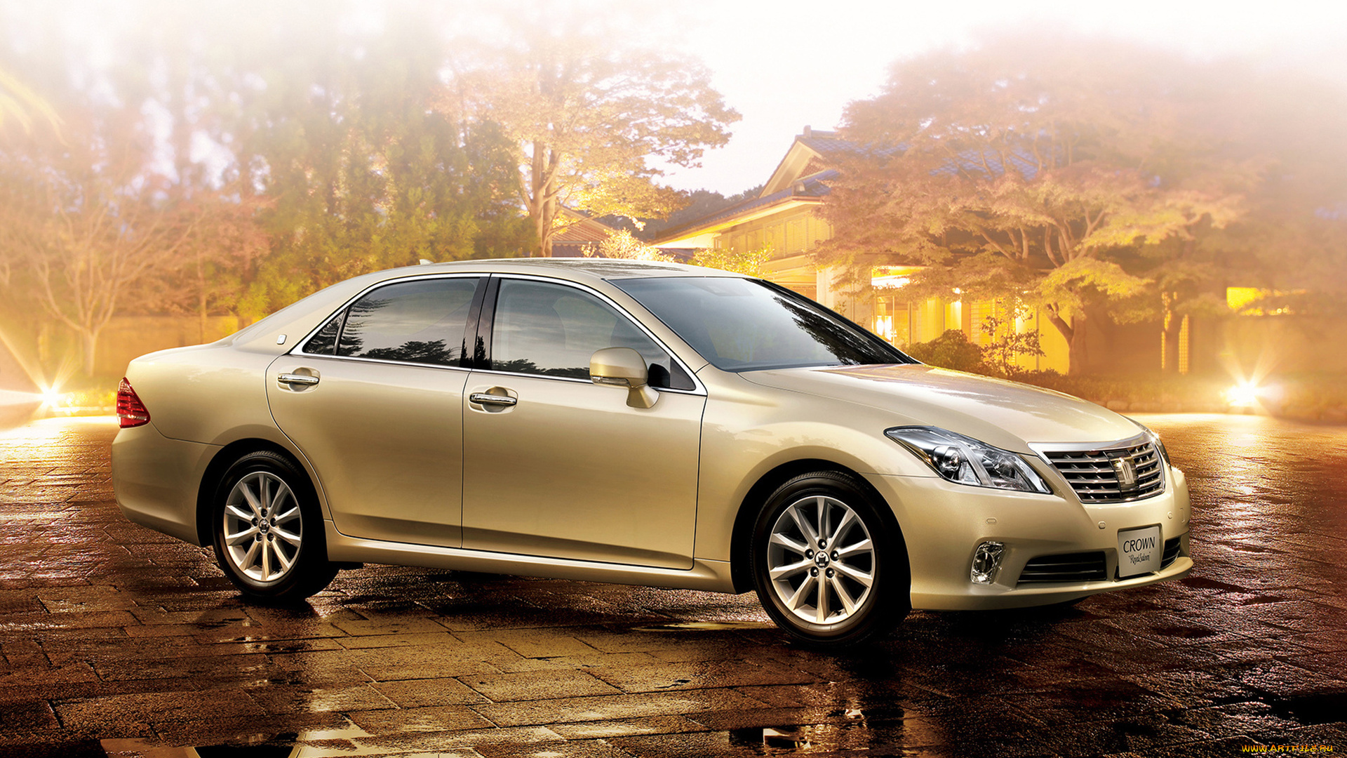 автомобили, toyota