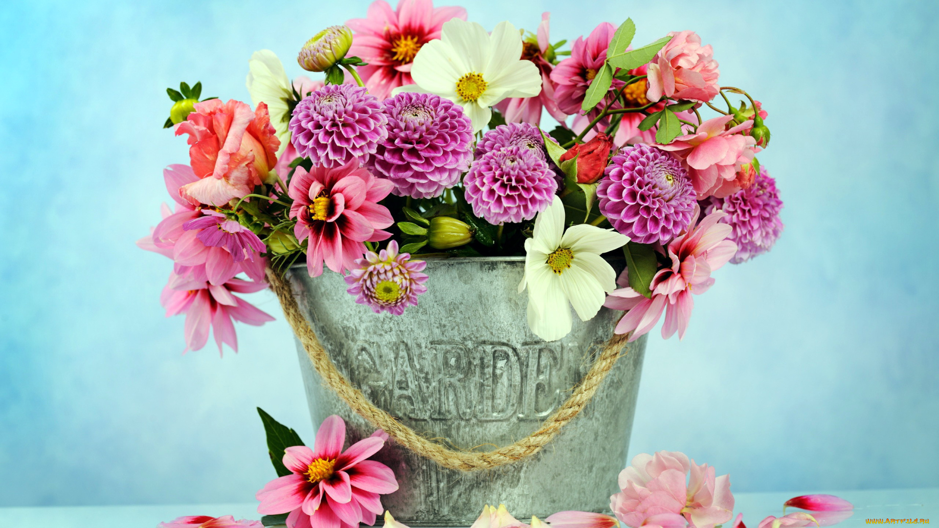 цветы, букеты, , композиции, космея, георгины