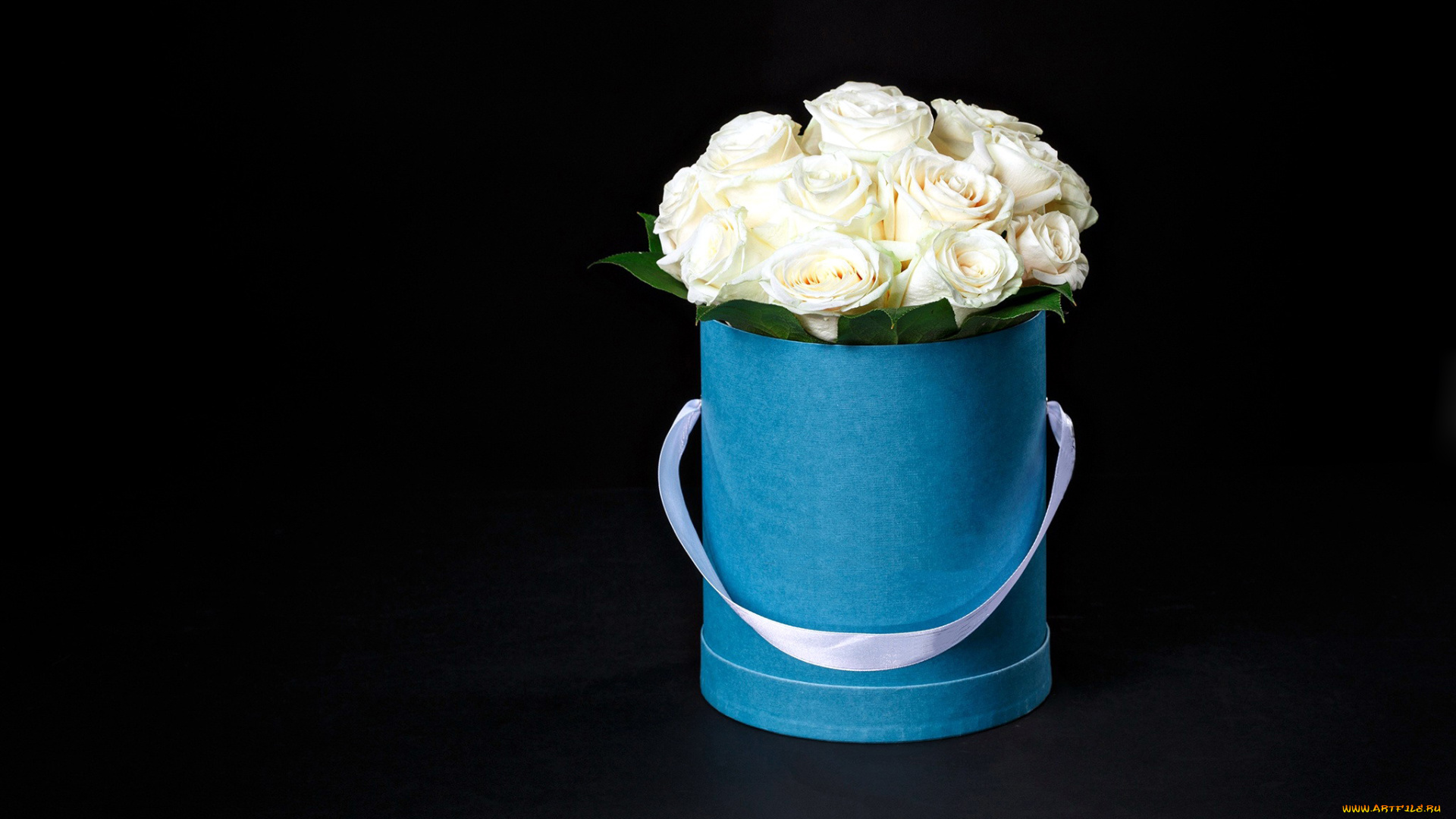 цветы, розы, букет, бутоны