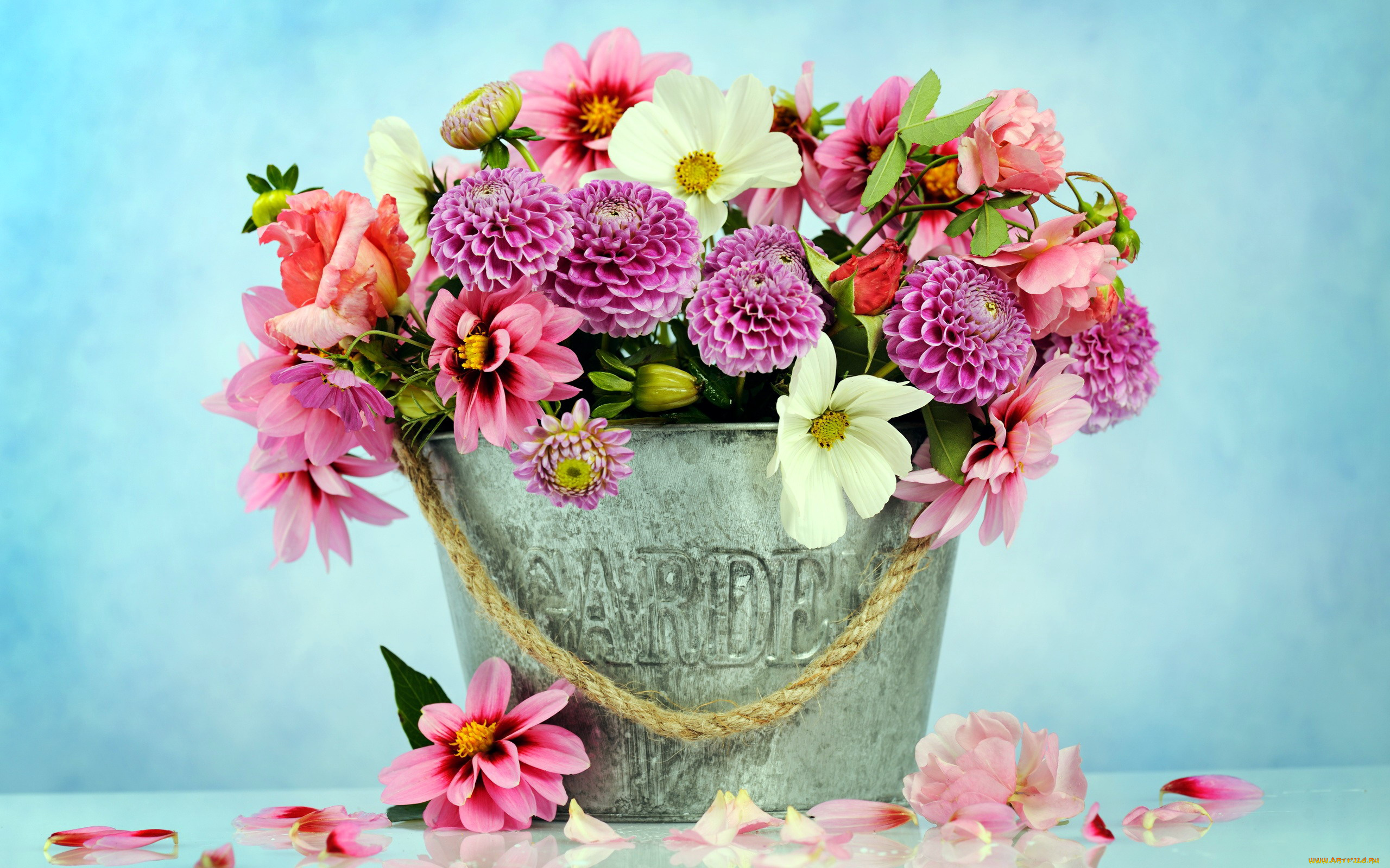 цветы, букеты, , композиции, космея, георгины