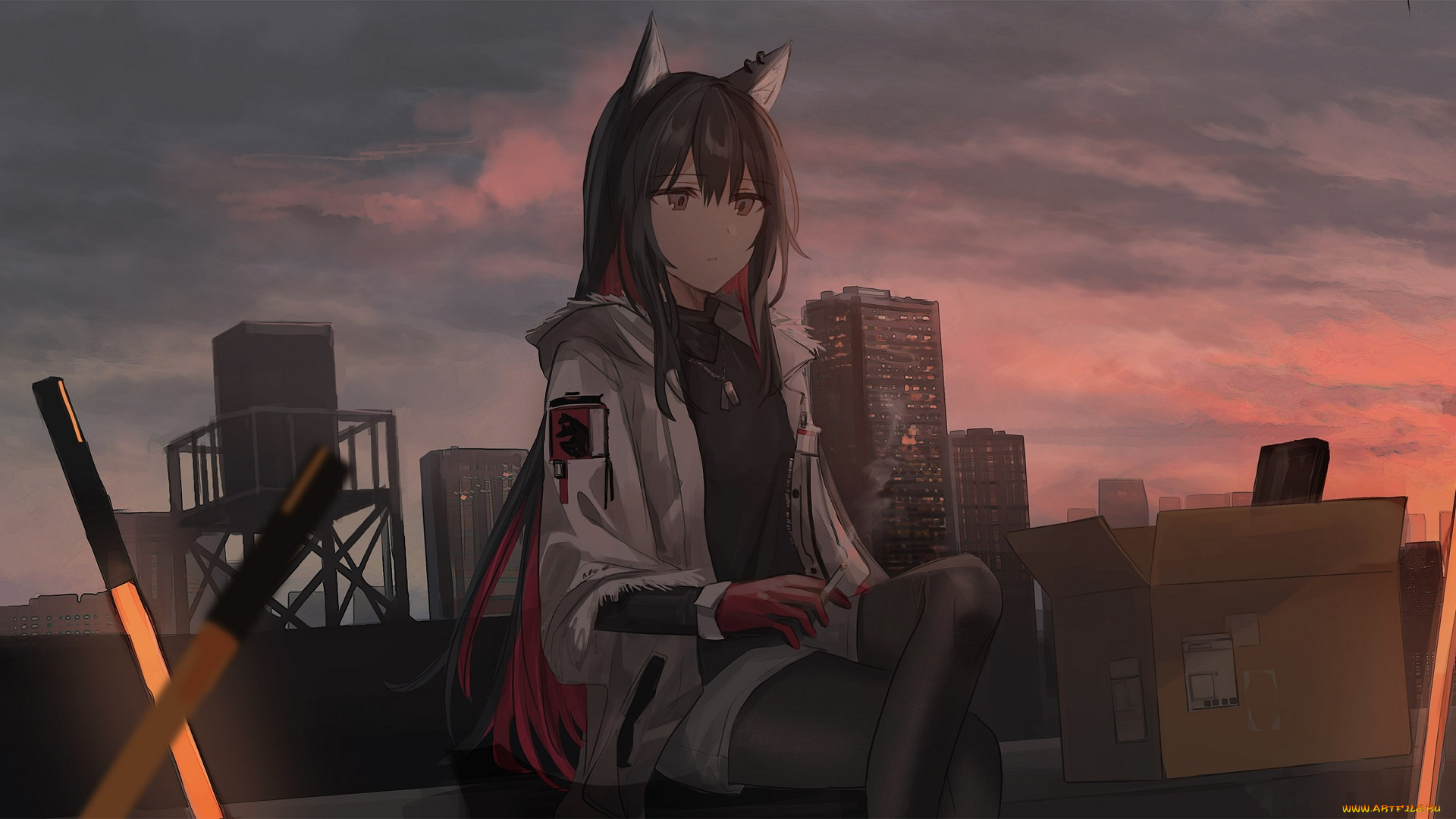 аниме, arknights