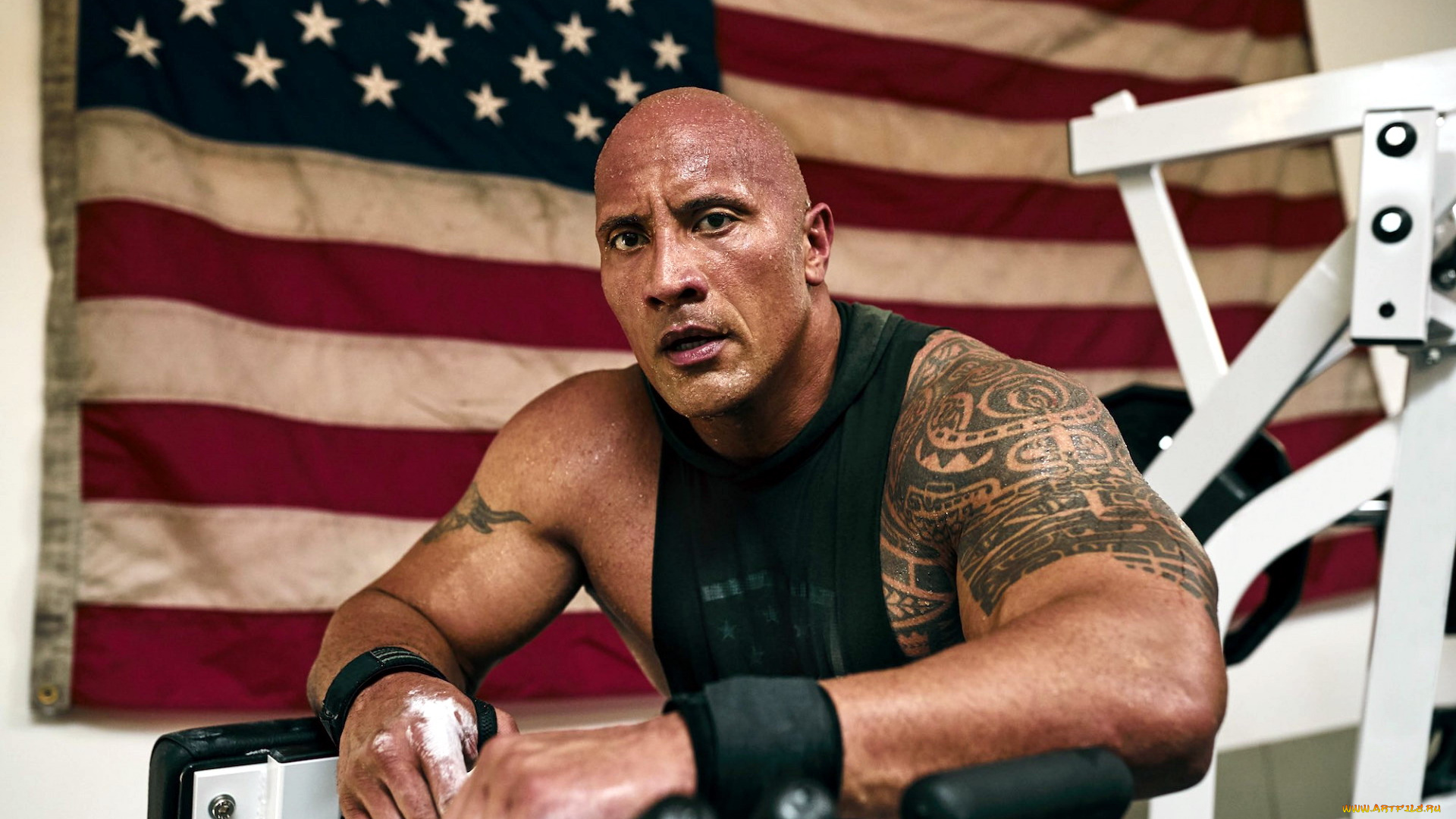 мужчины, dwayne, johnson, , the, rock, тату