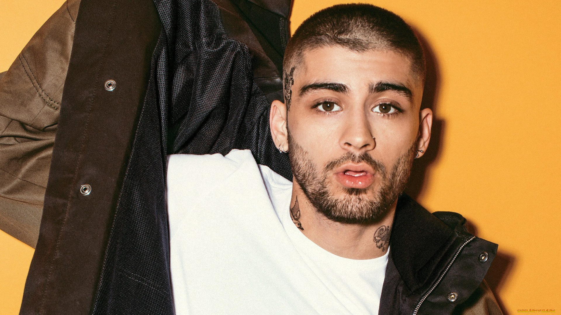 музыка, zayn, malik, тату