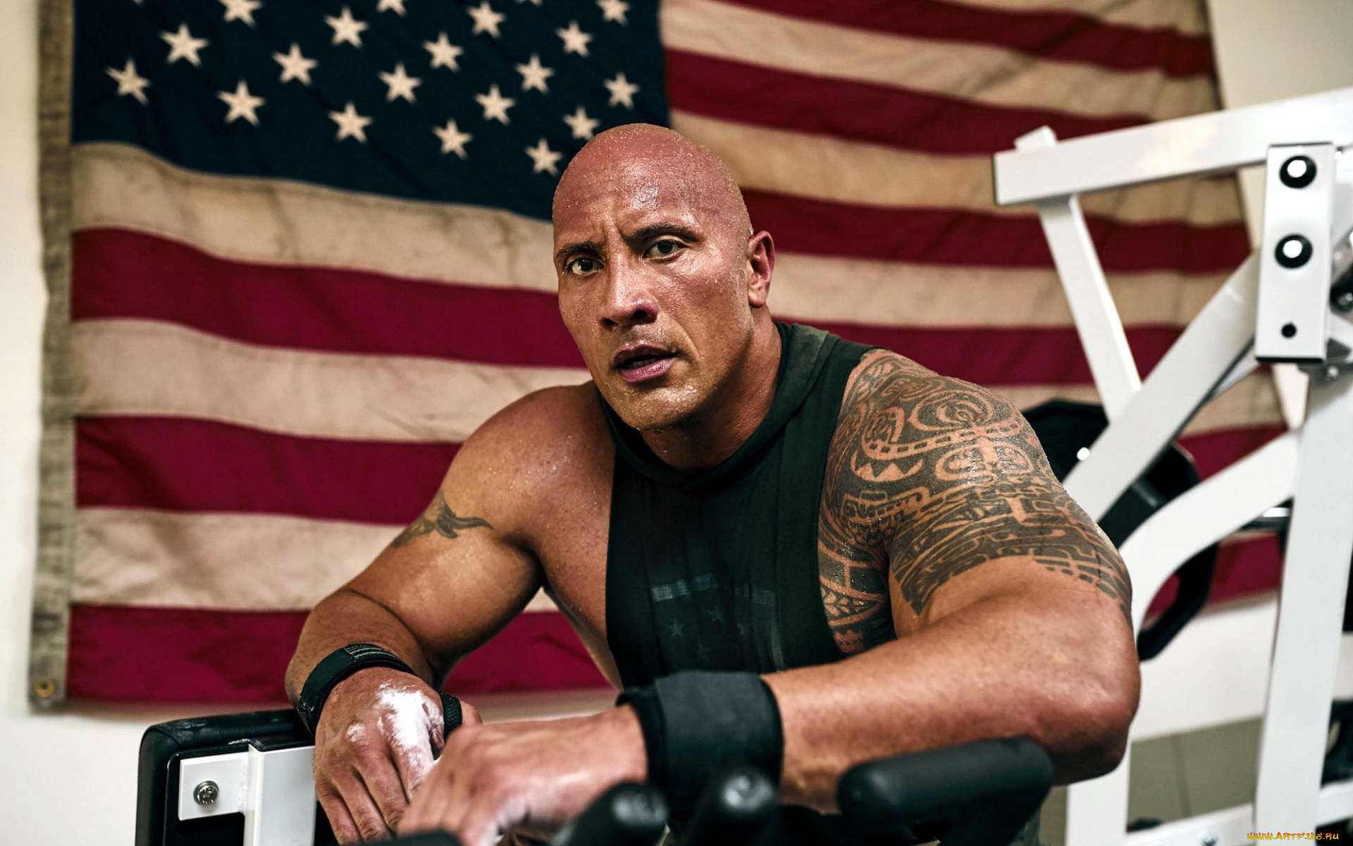 мужчины, dwayne, johnson, , the, rock, тату