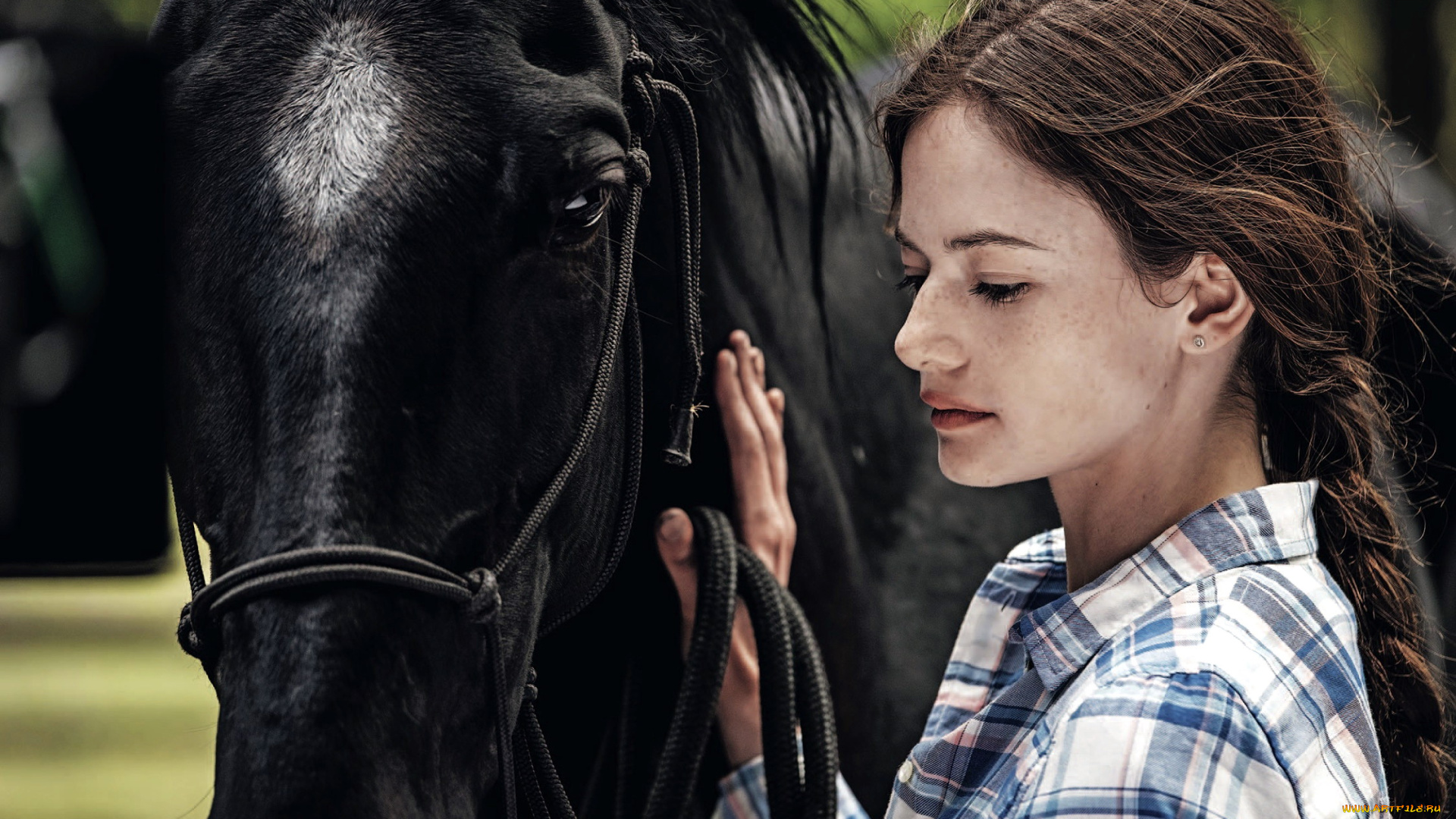 black, beauty, 2020, кино, фильмы, black, beauty, black, beauty
