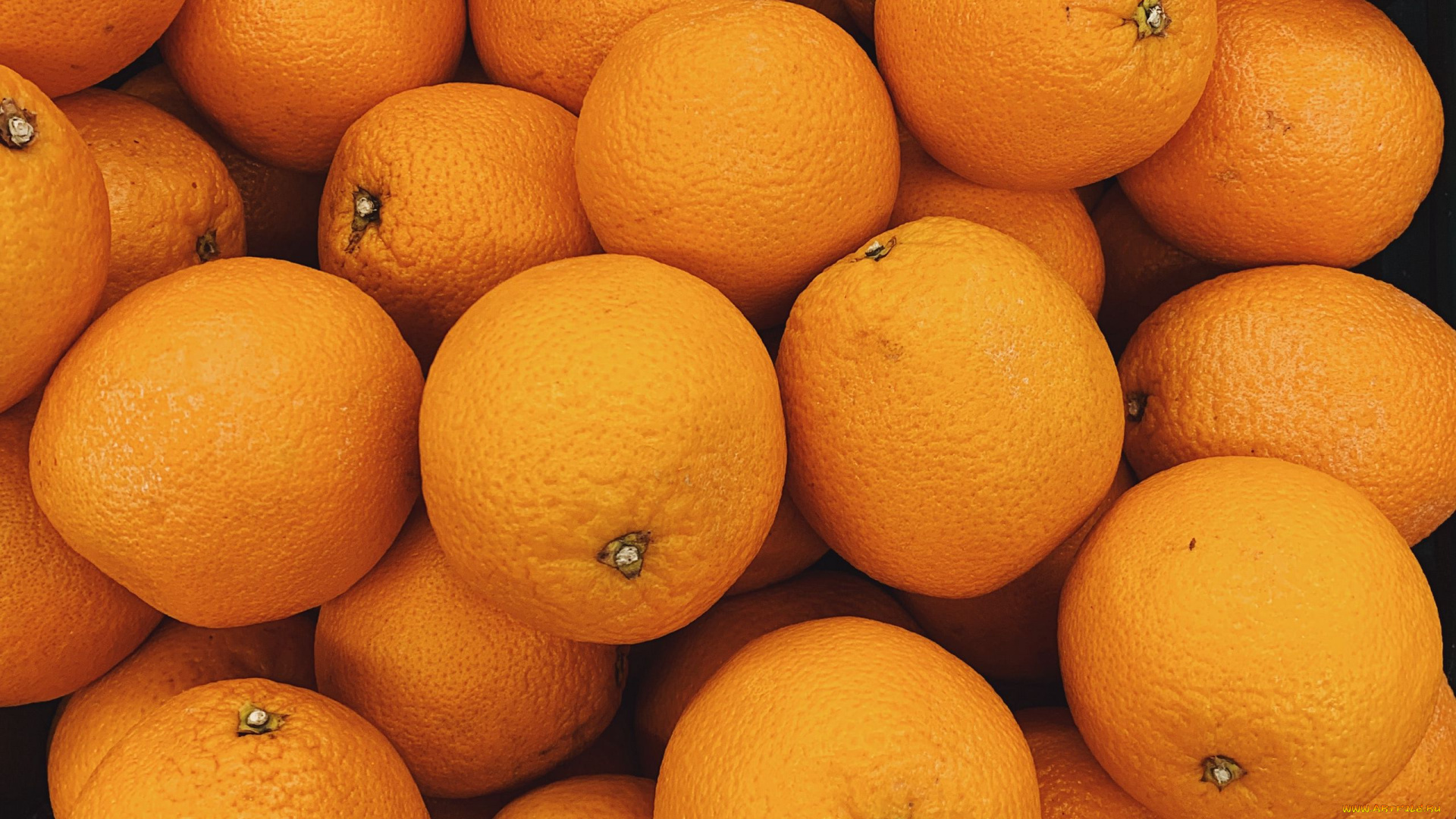 еда, цитрусы, апельсины