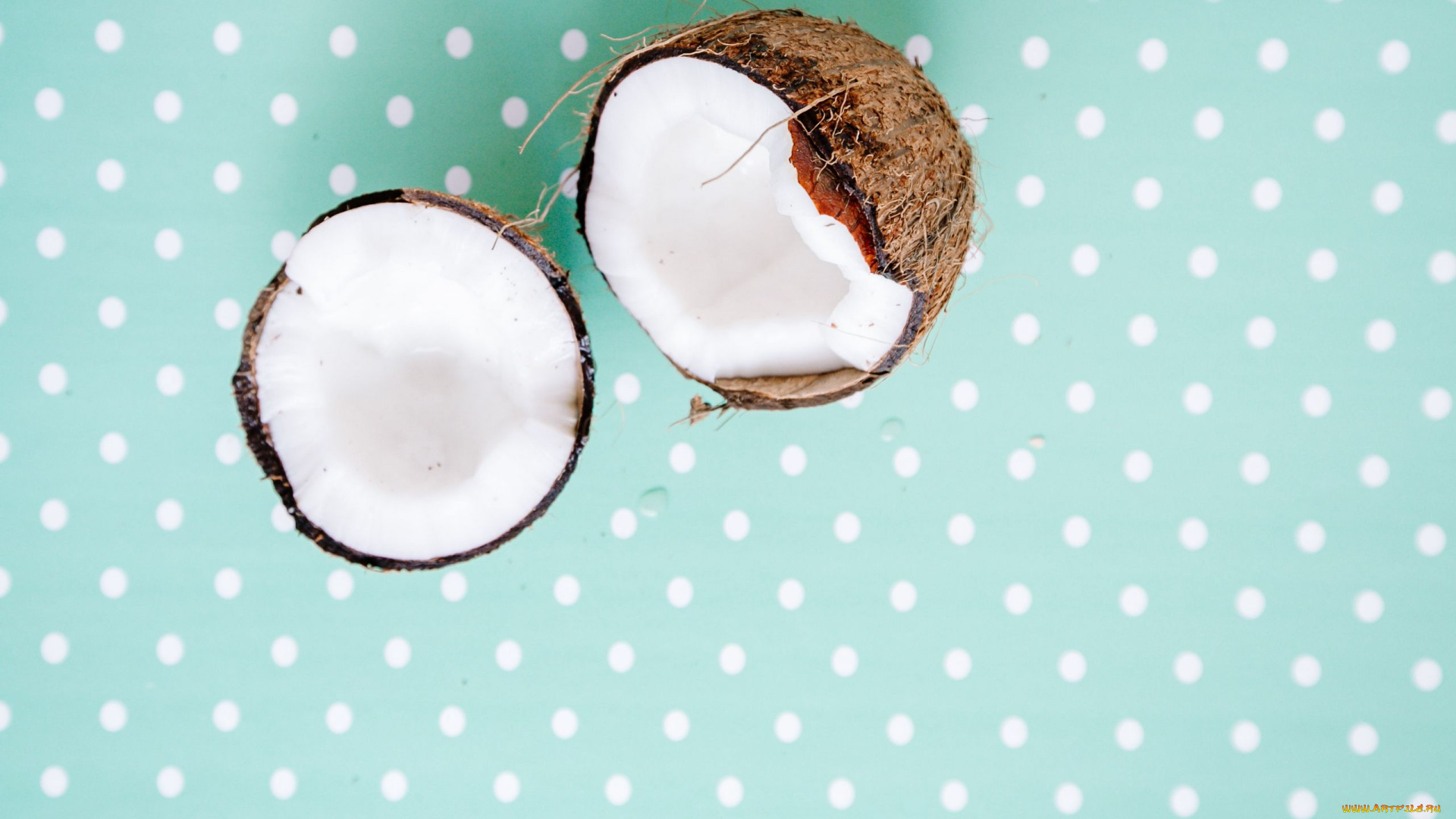 еда, кокос, экзотика, половинки