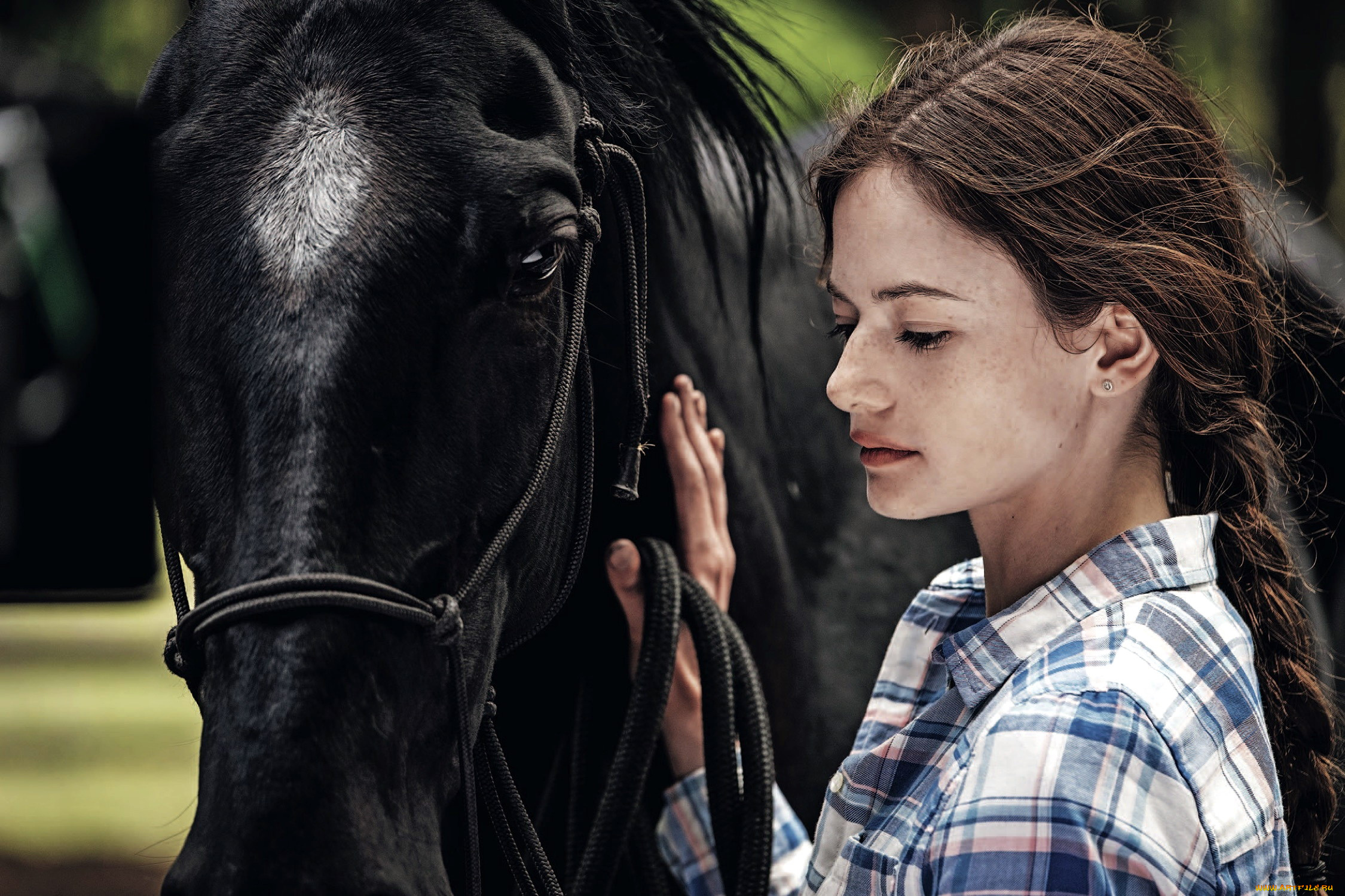 black, beauty, 2020, кино, фильмы, black, beauty, black, beauty