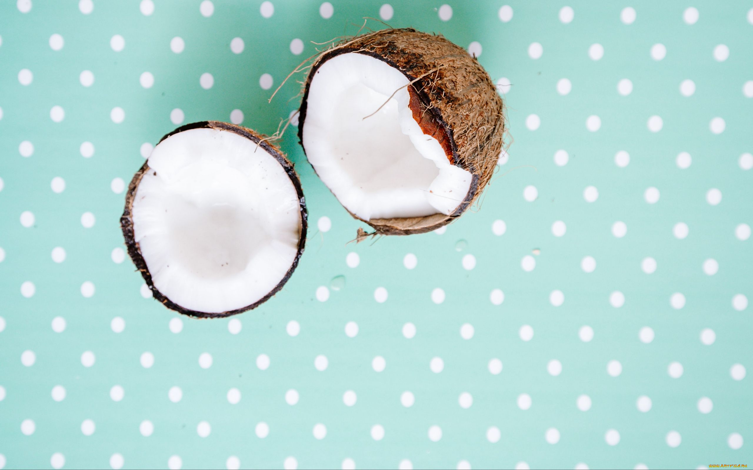 еда, кокос, экзотика, половинки