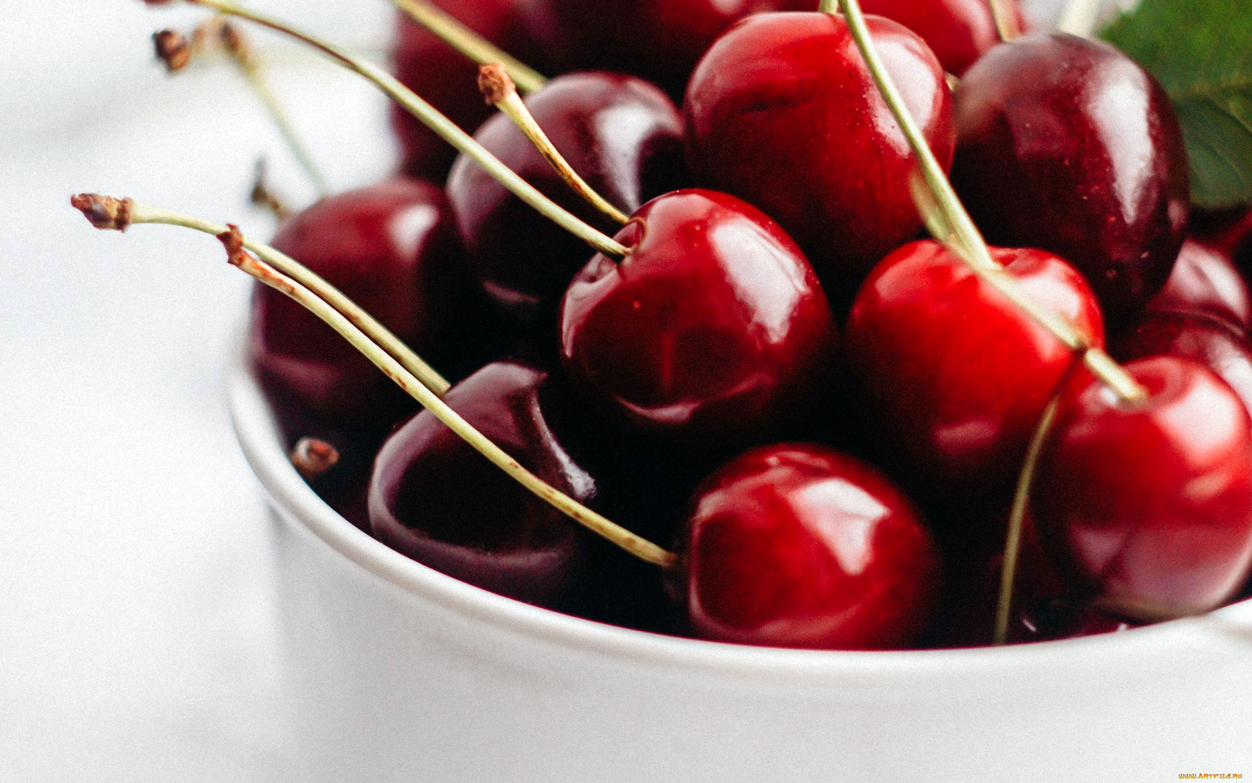 еда, вишня, , черешня, черешня, спелая, макро