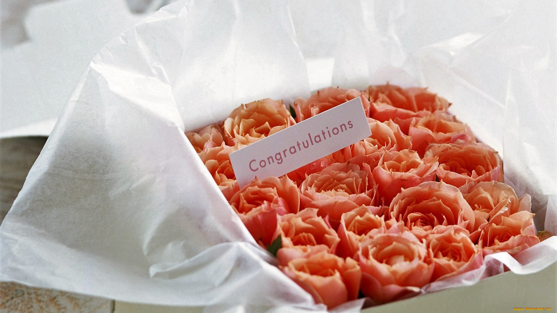 цветы, розы, коробка, поздравление