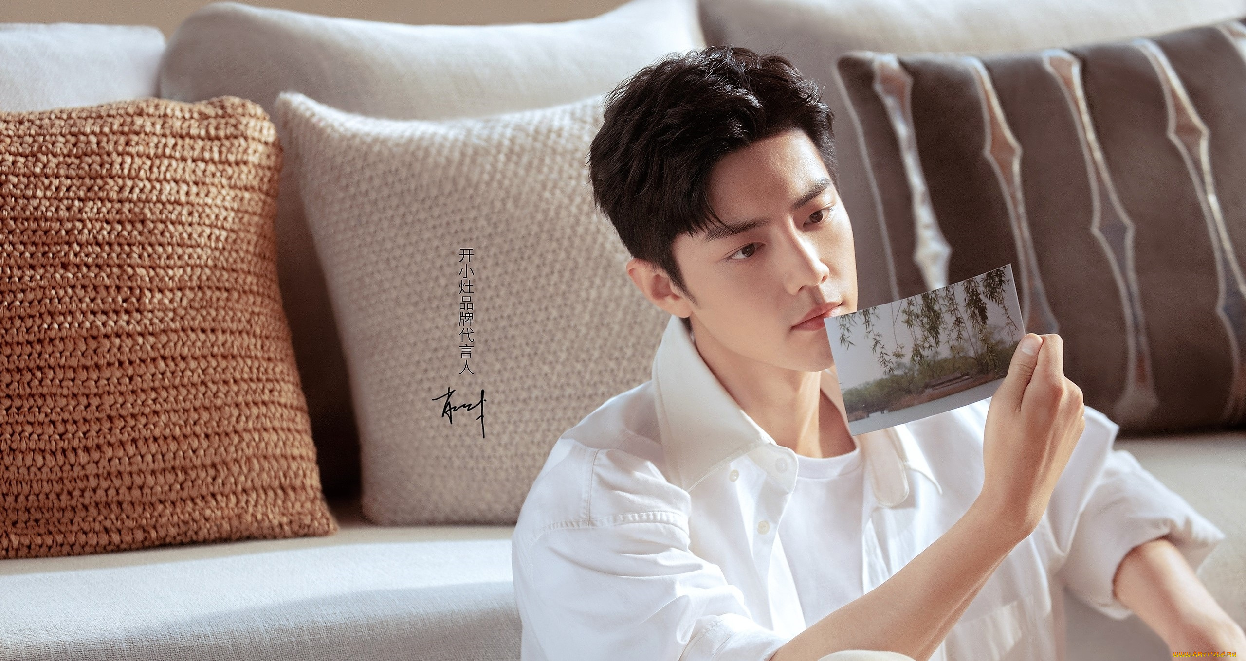 мужчины, xiao, zhan, актер, открытка, диван, подушки