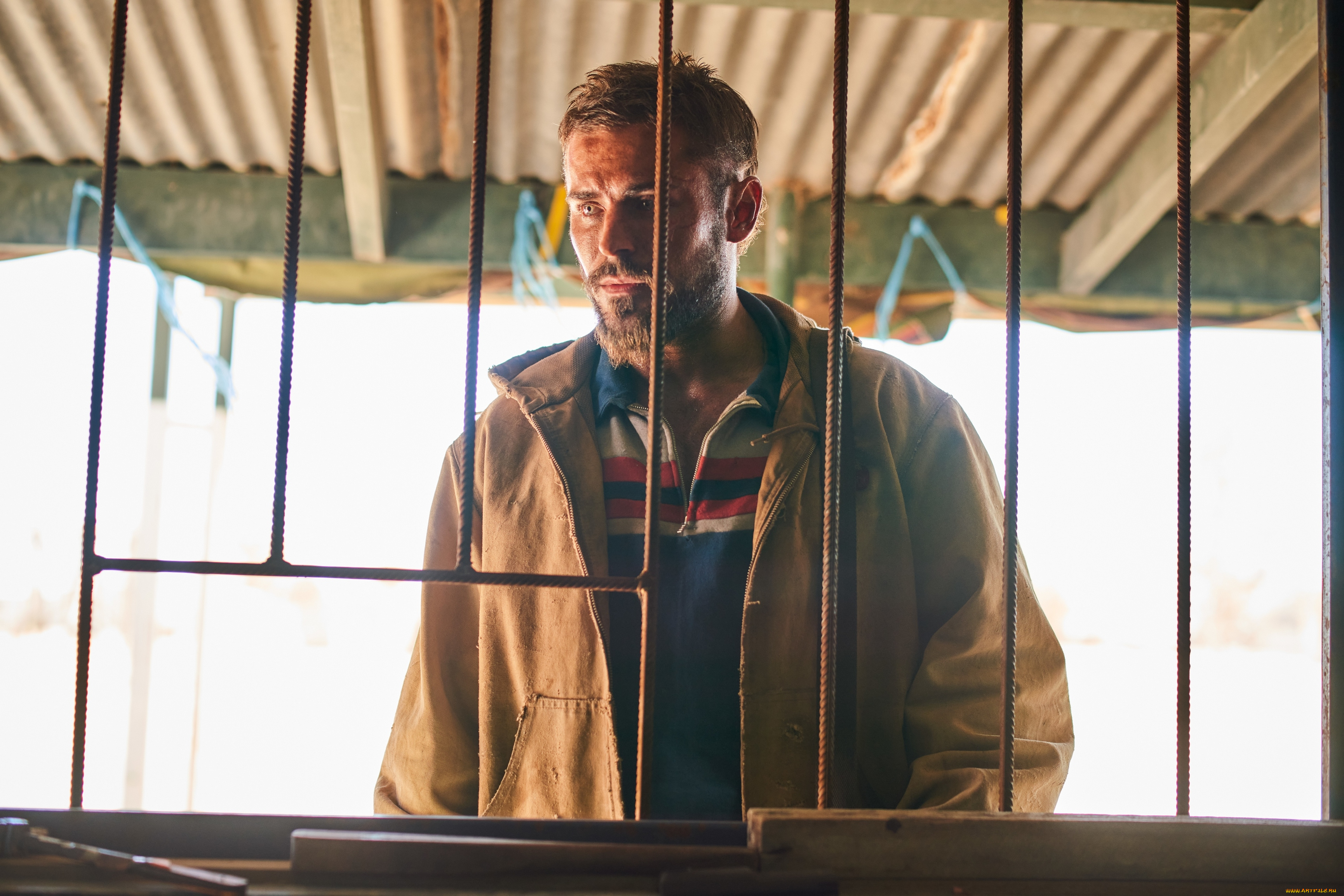 gold, , , 2021, , кино, фильмы, gold, жажда, золота, зак, эфрон, триллер, кадры, фильм, актер, zac, efron, author, oreskis