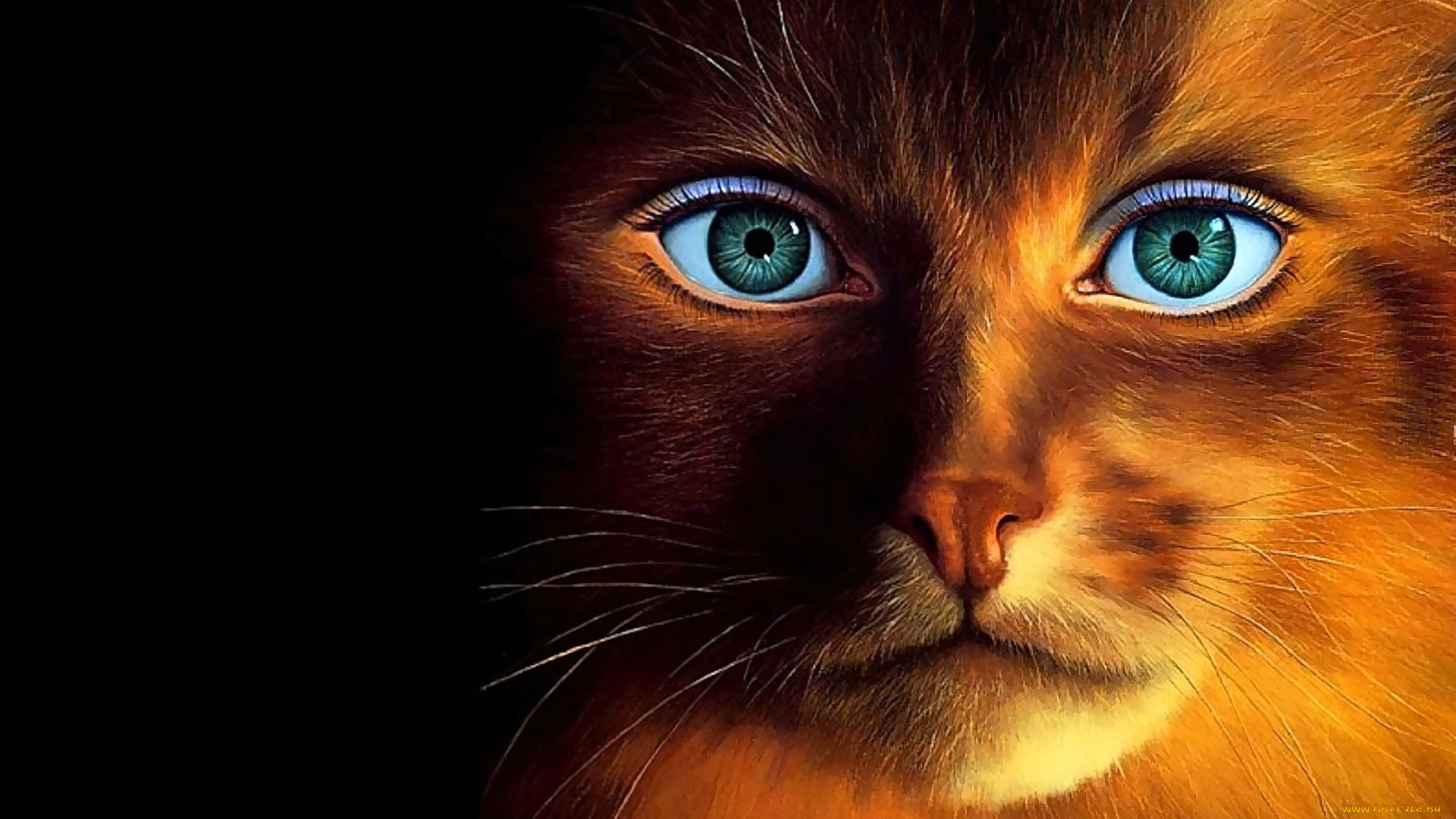 рисованное, животные, , коты, кот, глаза