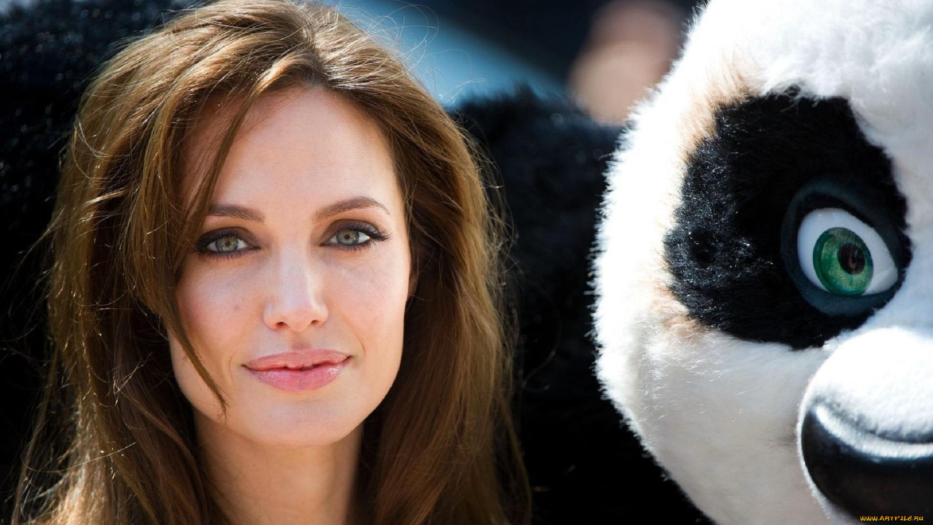 девушки, angelina, jolie, шатенка, актриса, лицо, панда