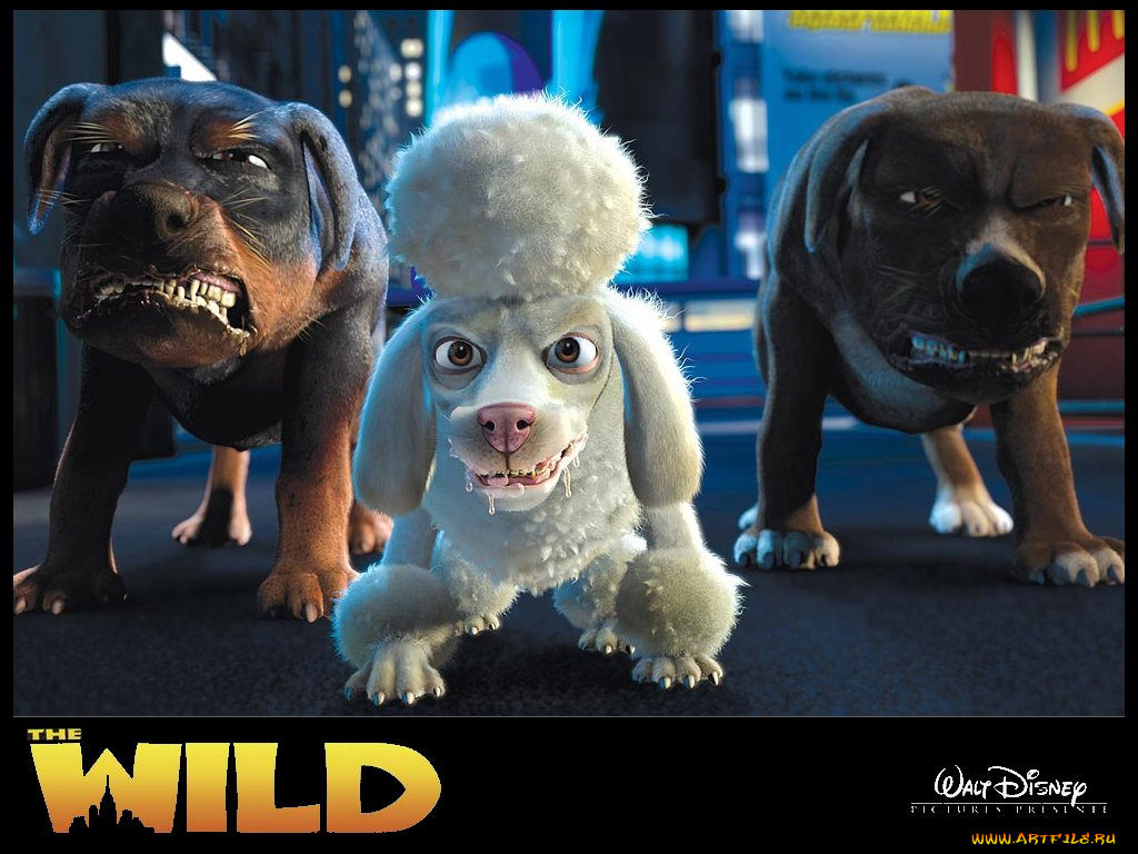 мультфильмы, the, wild