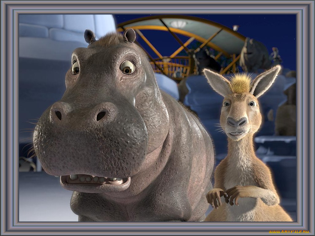 the, wild, мультфильмы