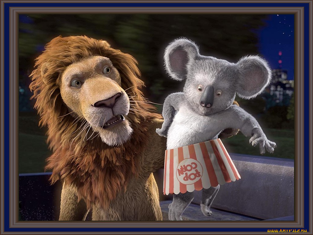 the, wild, мультфильмы