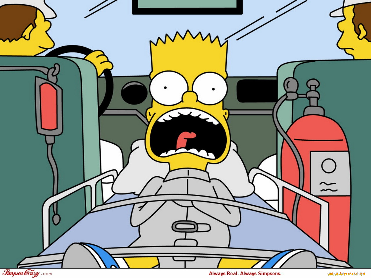 мультфильмы, the, simpsons