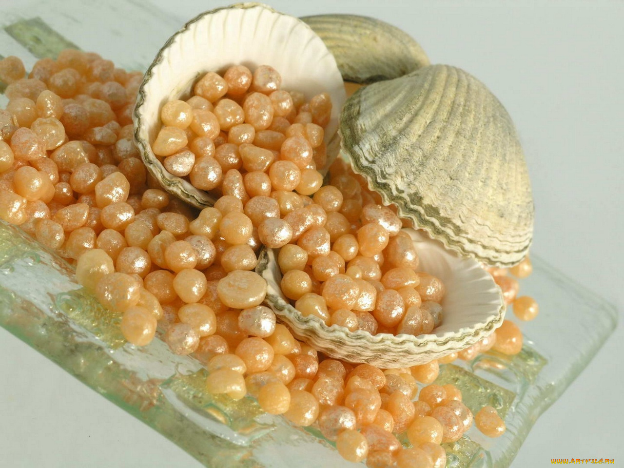 разное, ракушки, кораллы, декоративные, spa, камни