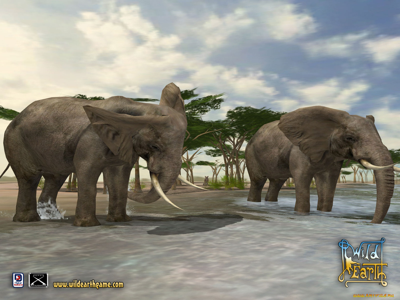 wild, earth, видео, игры