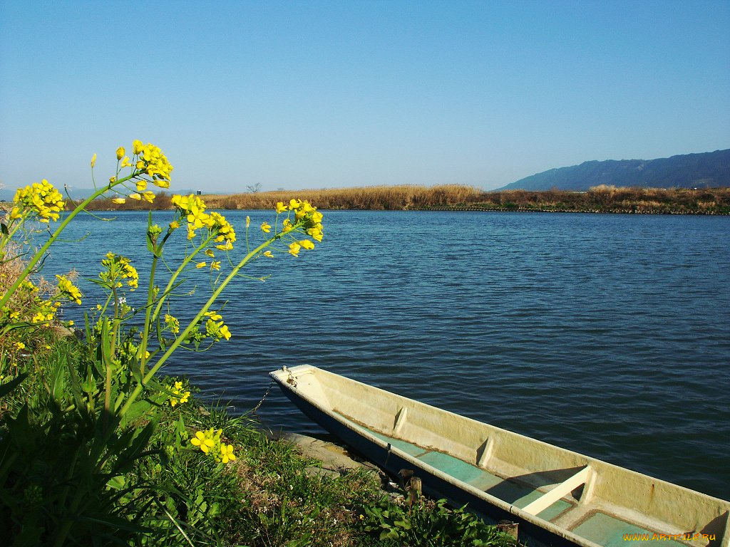корабли, лодки, шлюпки