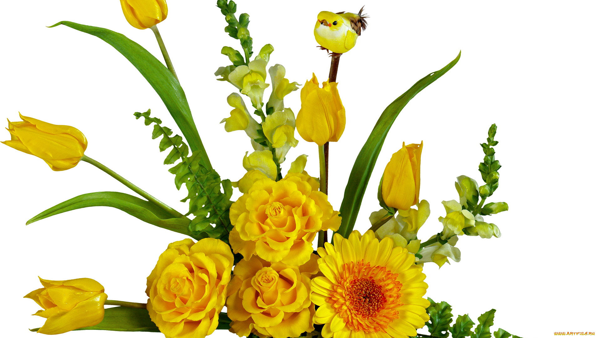 цветы, букеты, композиции, желтые