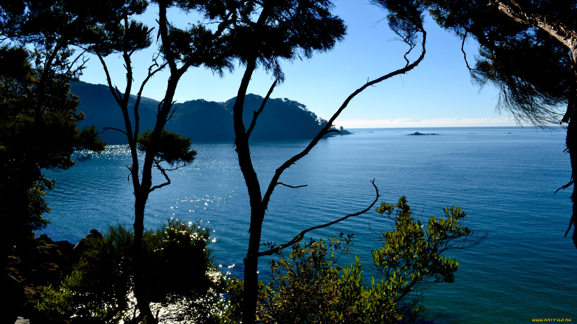 abel, tasman, national, park, австралия, природа, реки, озера, река, деревья