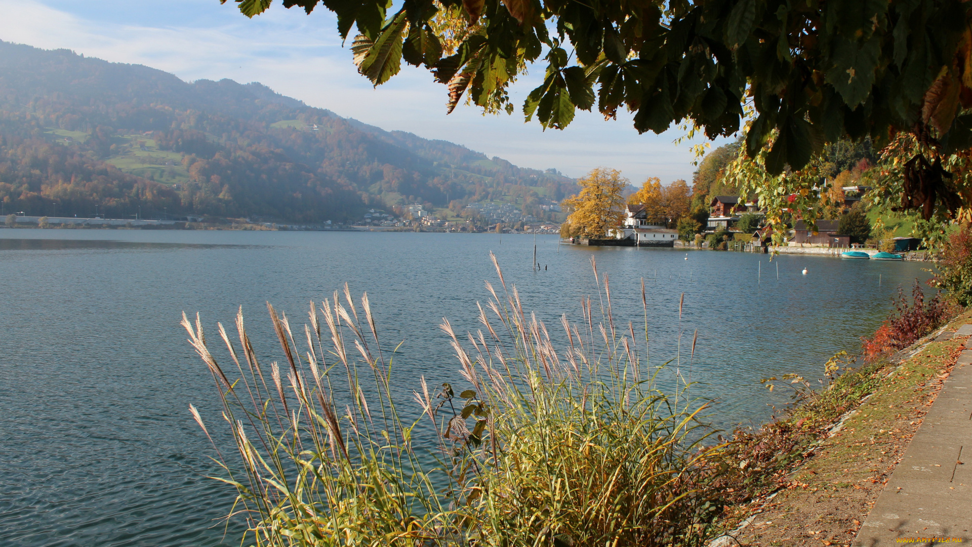 швейцария, фирвальдштетское, озеро, природа, реки, озера, набережная, деревья