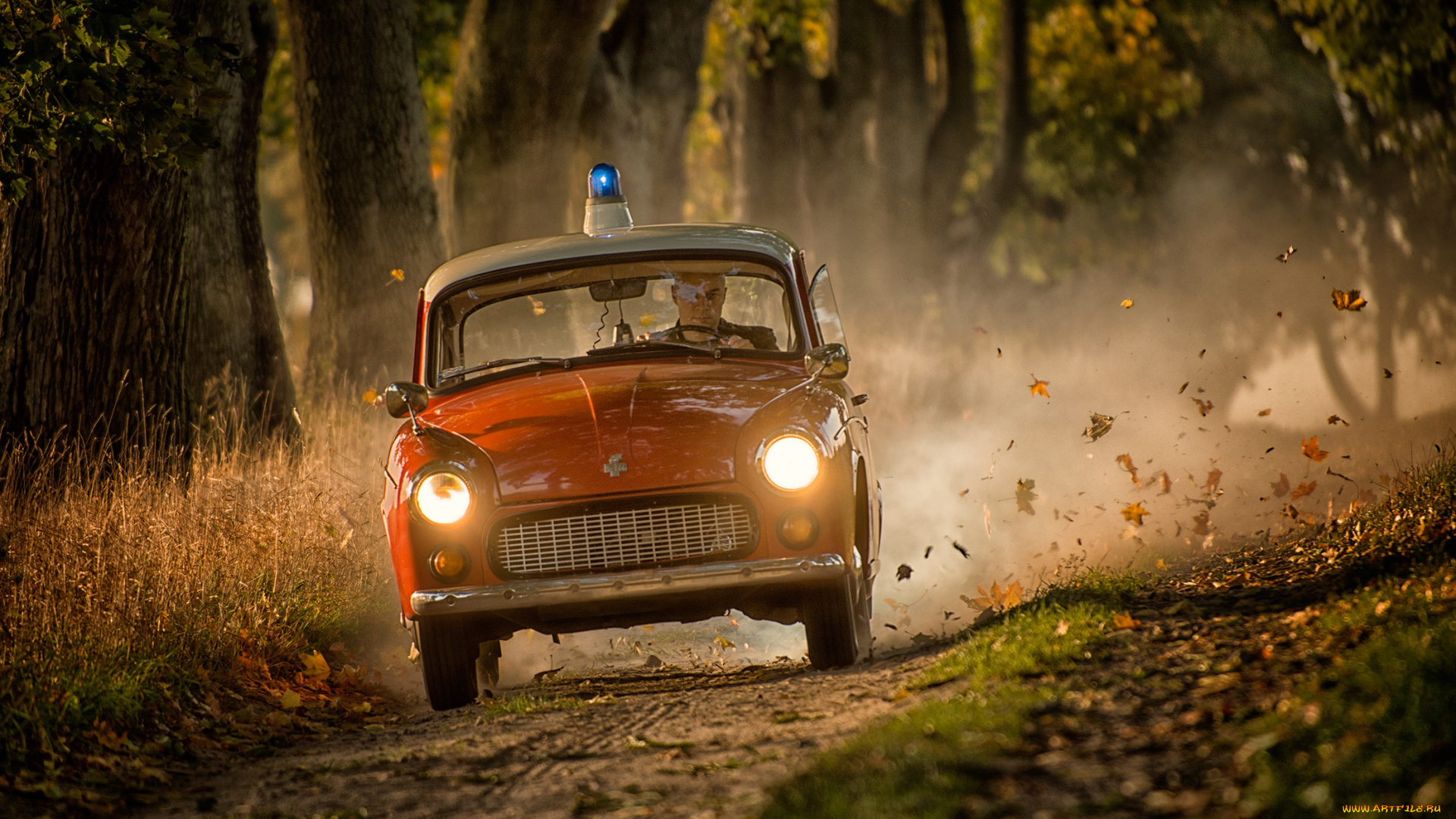 автомобили, полиция, мигалка