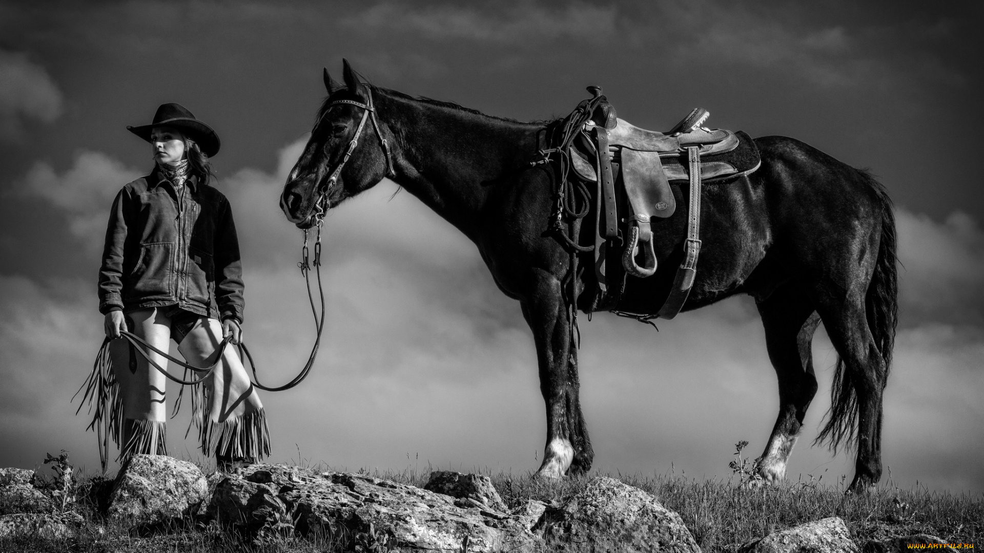 девушки, -unsort, , Черно-белые, обои, лошадь, ковбой, девушка
