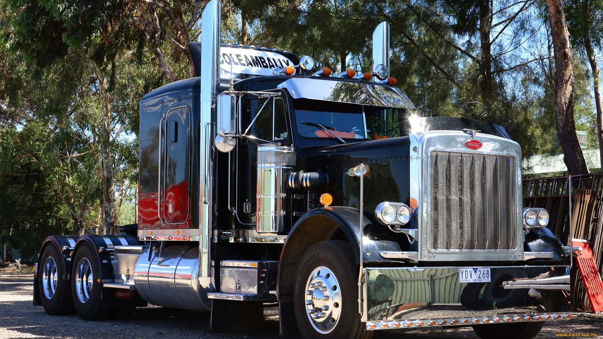 peterbilt, автомобили, седельные, грузовики, классические, тягачи, сша, company, motors