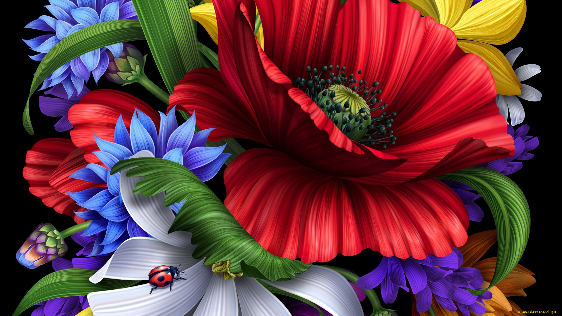 рисованные, цветы, божья, коровка, мак, лепестки