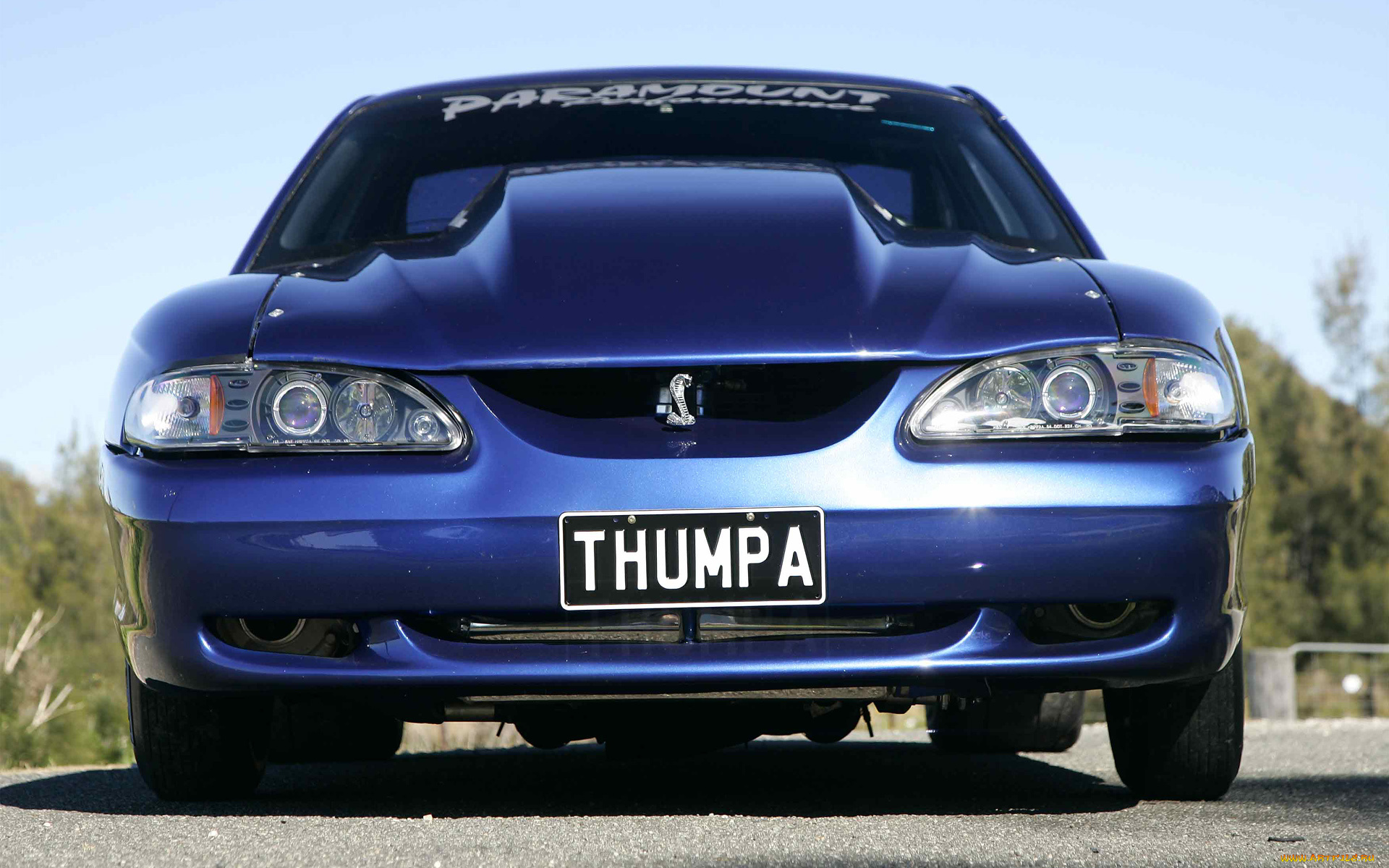 автомобили, hotrod, dragster, gasser, prostreet, mustang