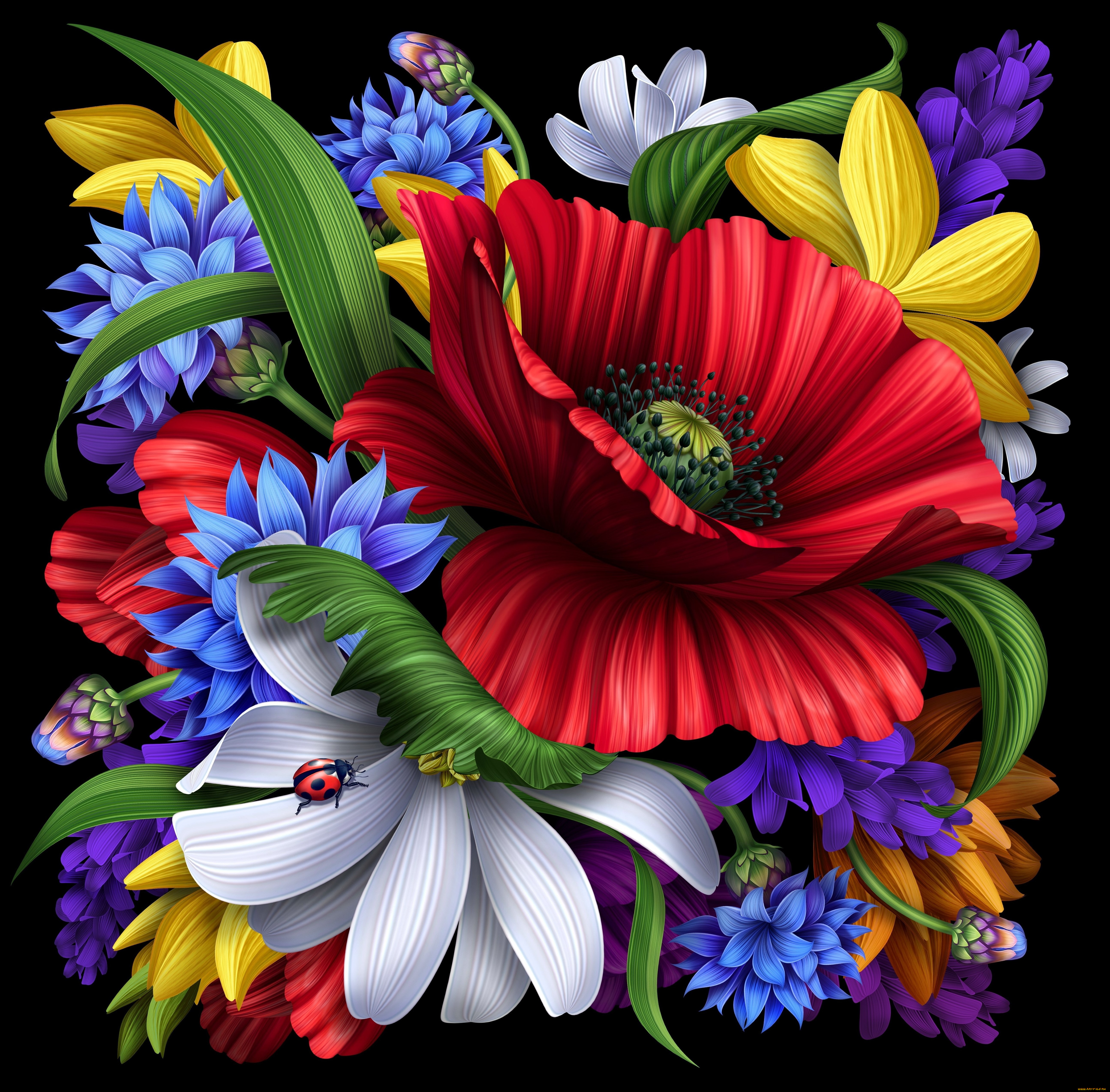 рисованные, цветы, божья, коровка, мак, лепестки