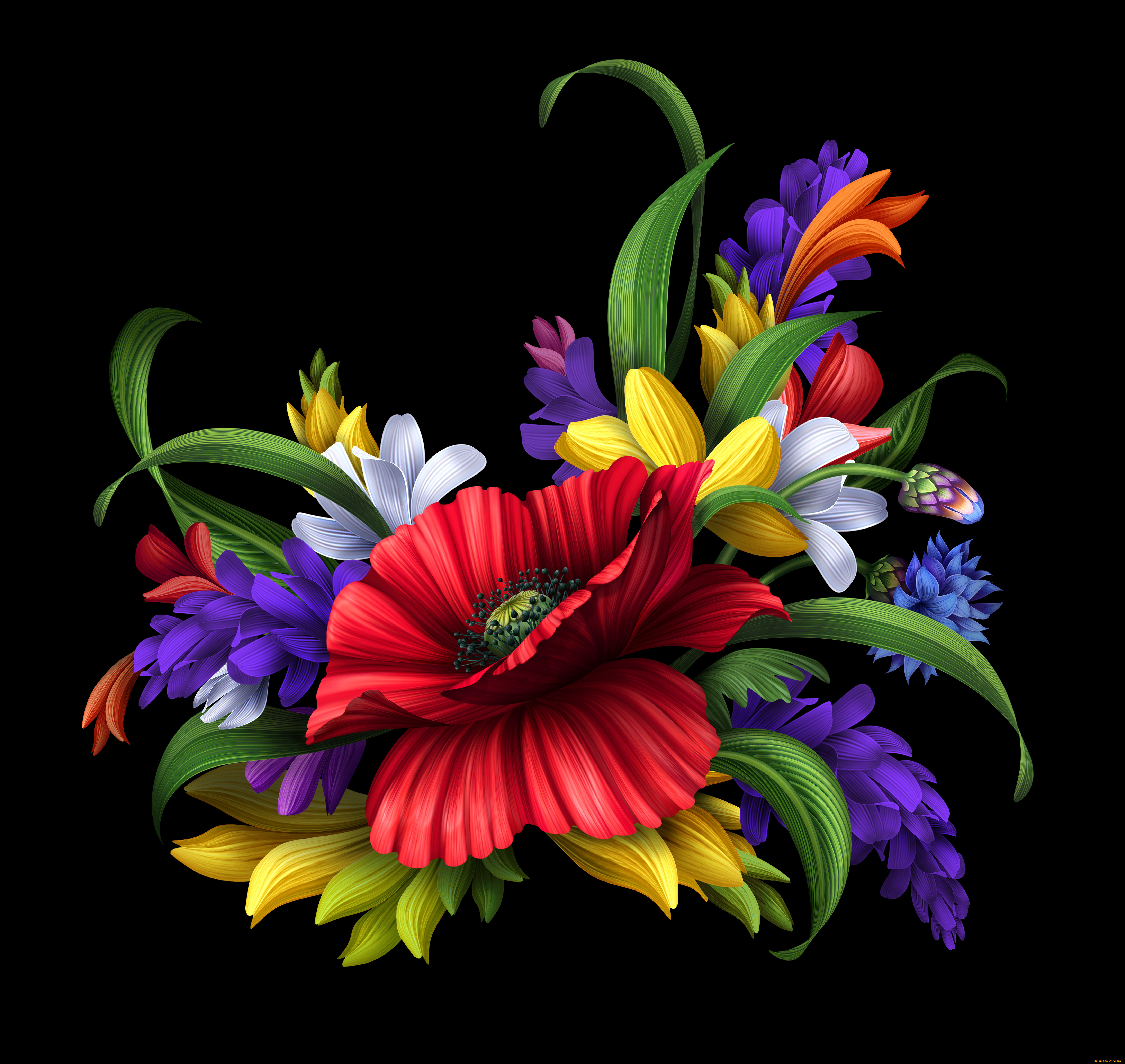 рисованные, цветы, мак, лепестки