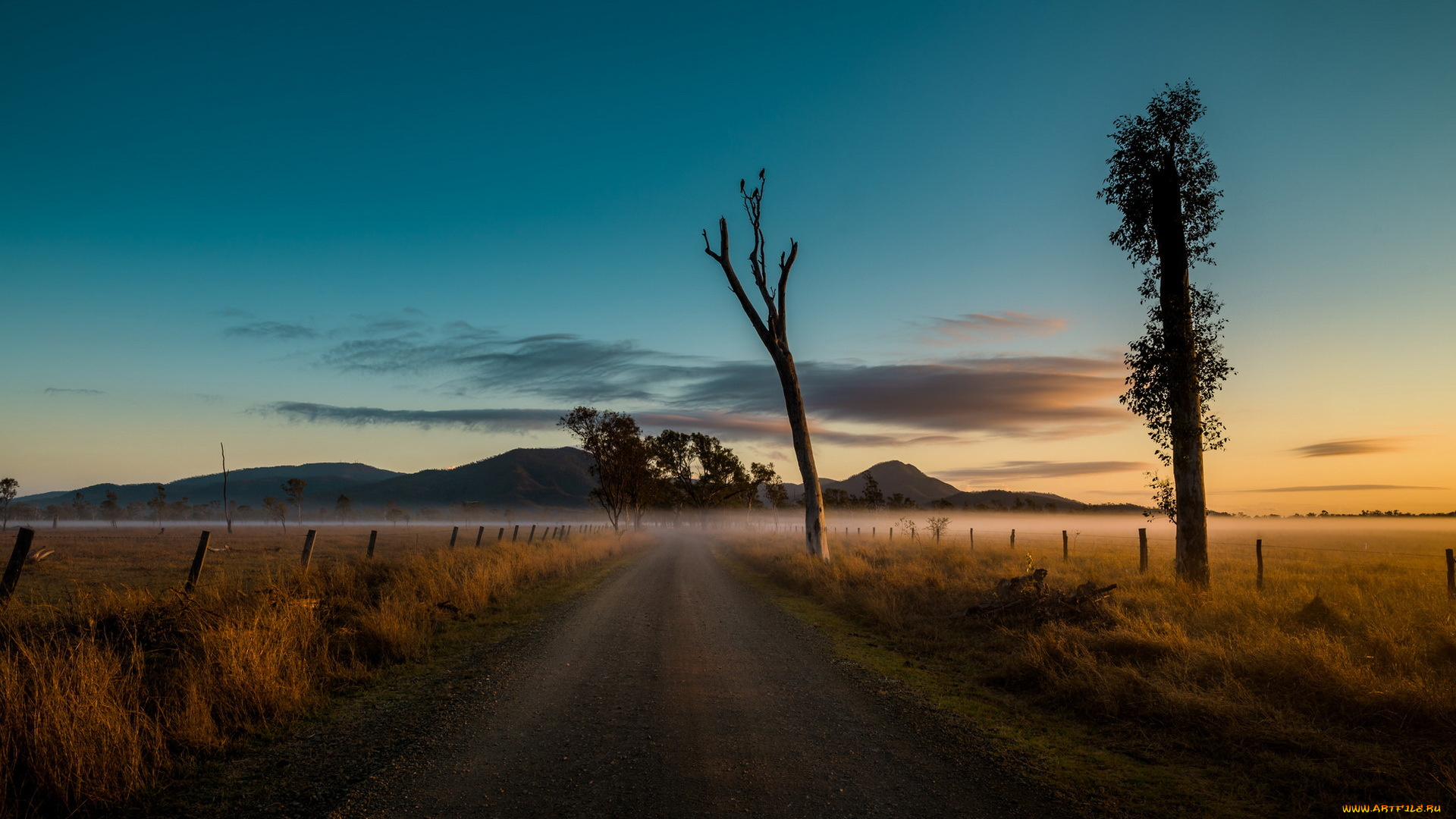 природа, дороги, туман, дорога, утро