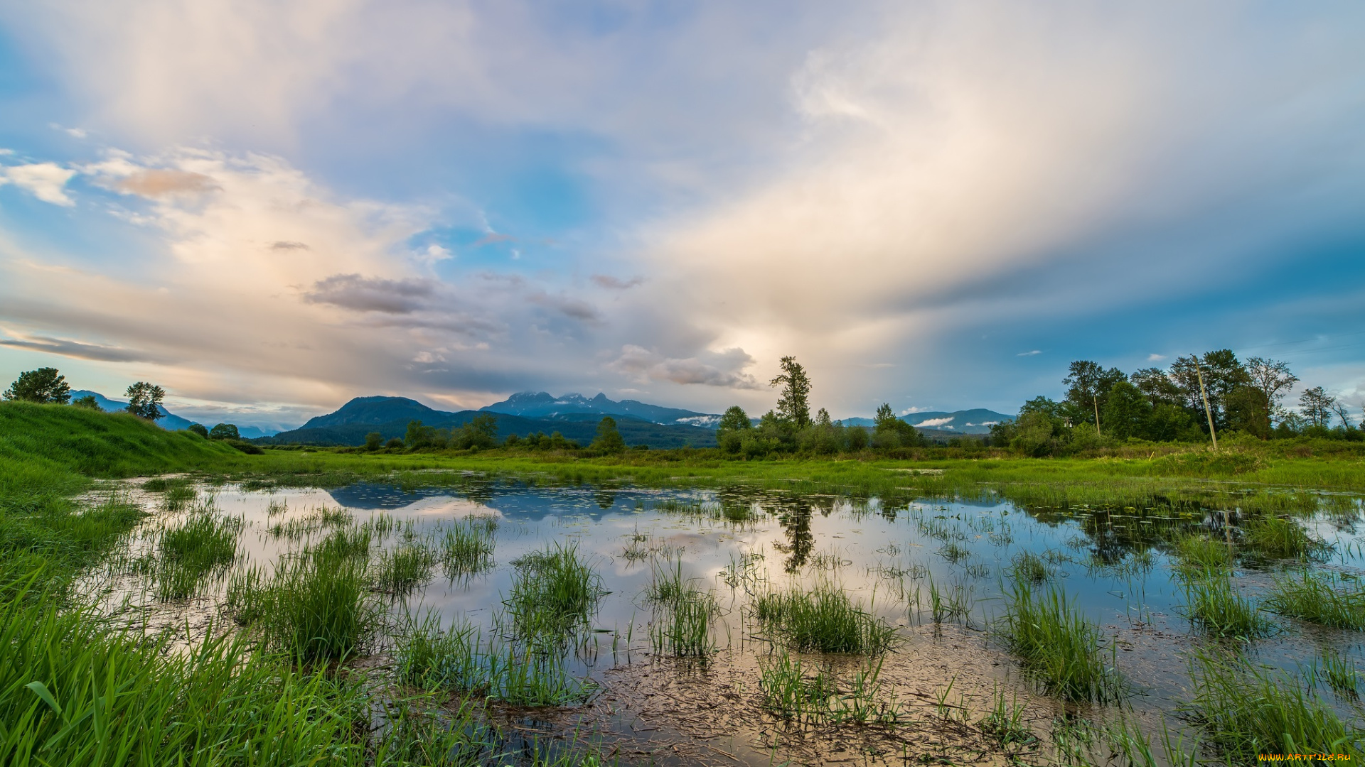 природа, реки, озера, река, лес