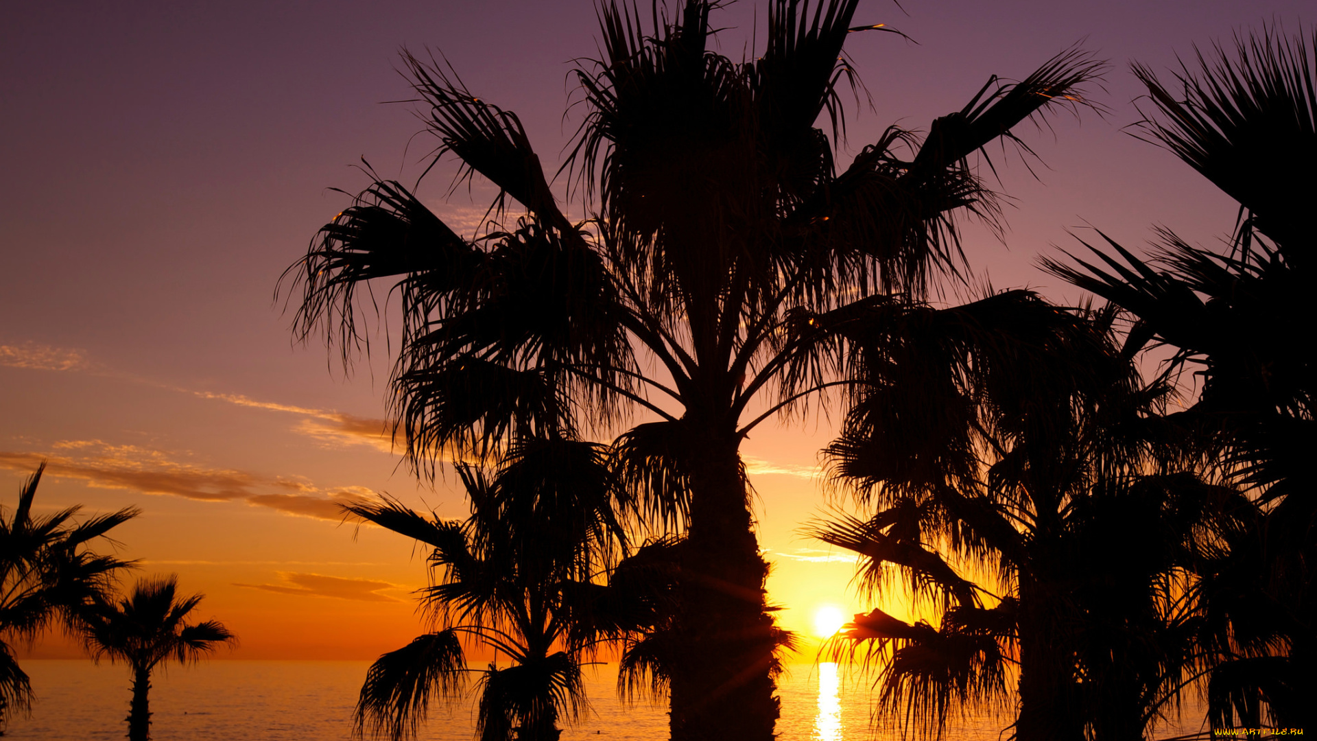 природа, восходы, закаты, рассвет