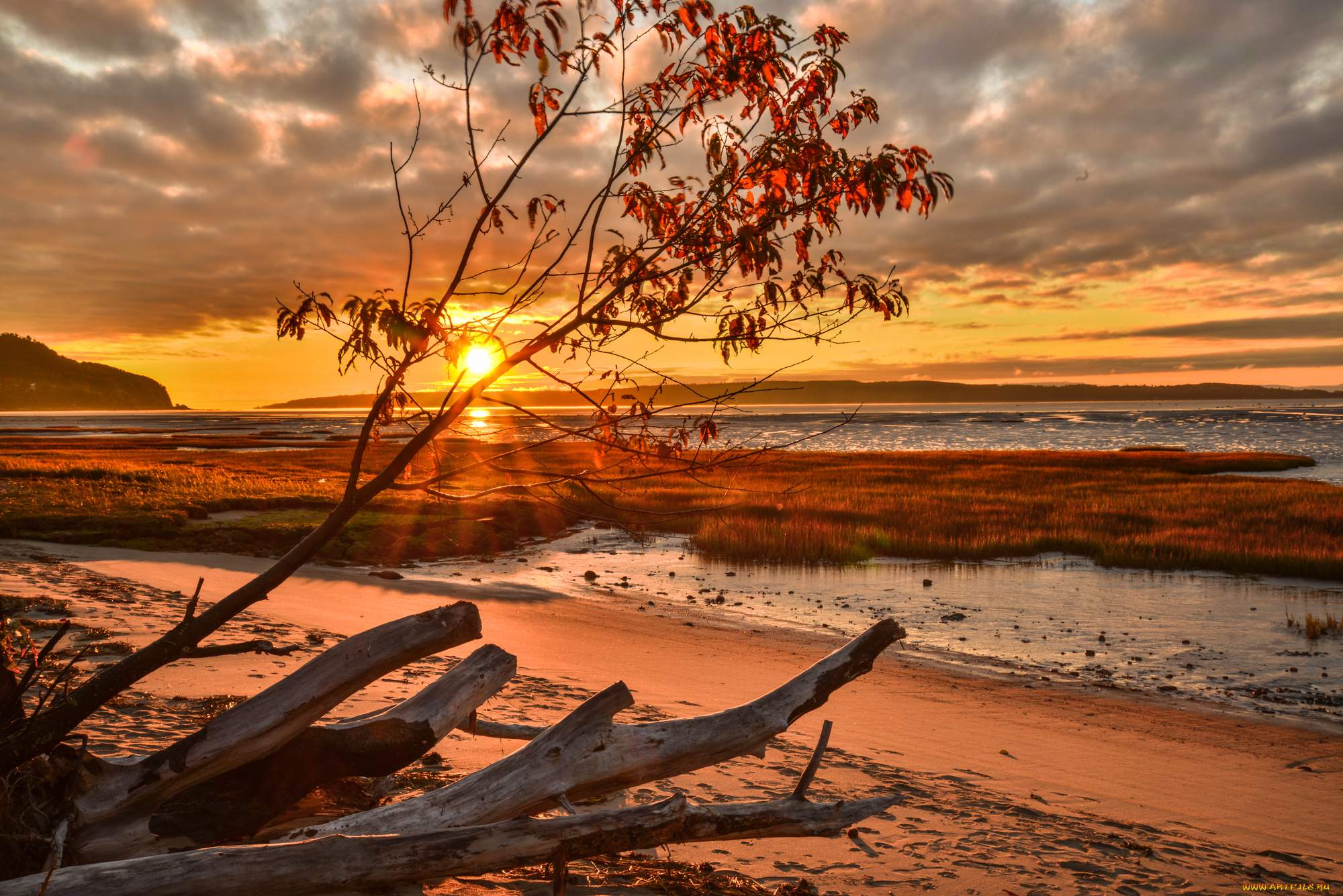 природа, восходы, закаты, рассвет