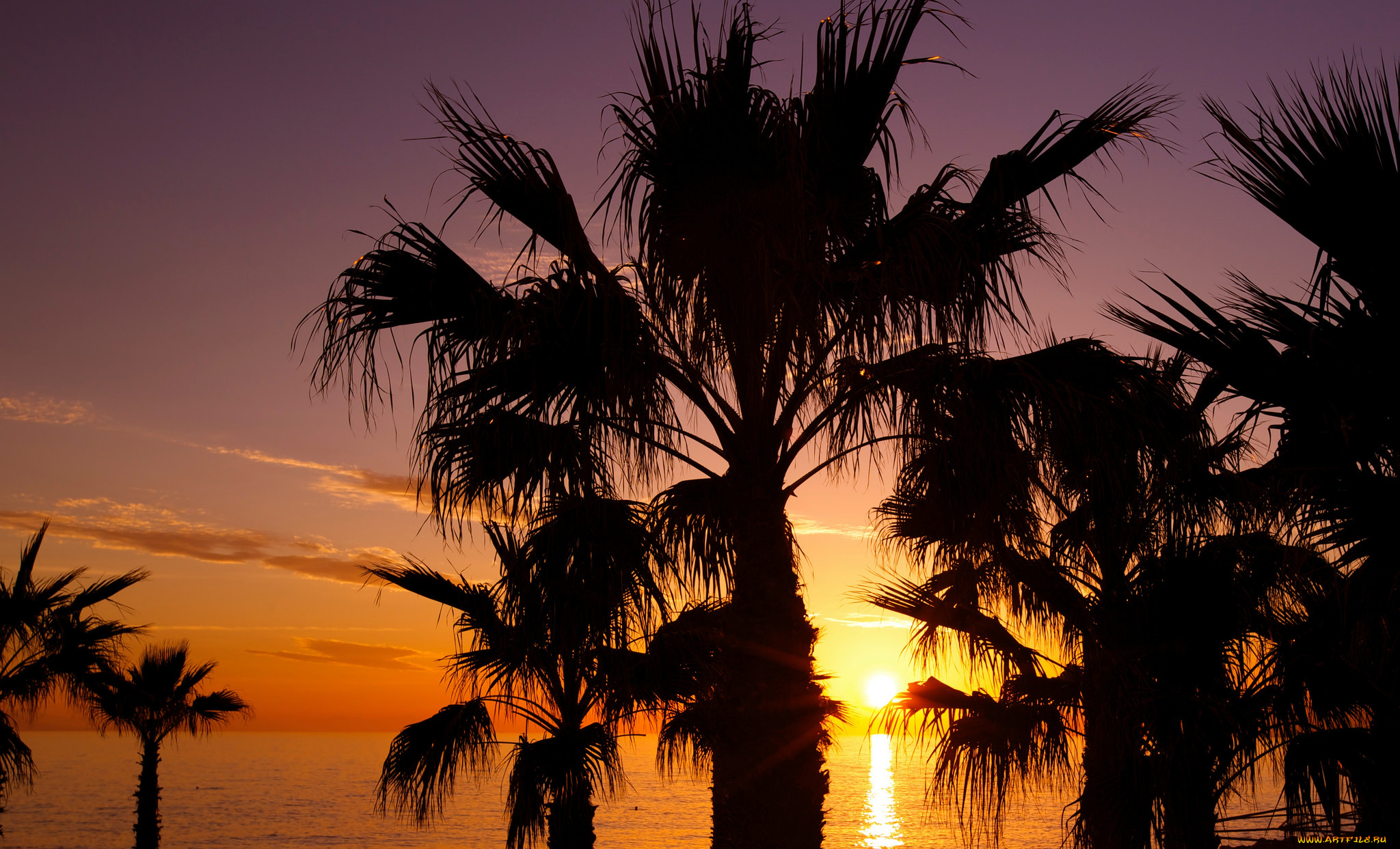 природа, восходы, закаты, рассвет