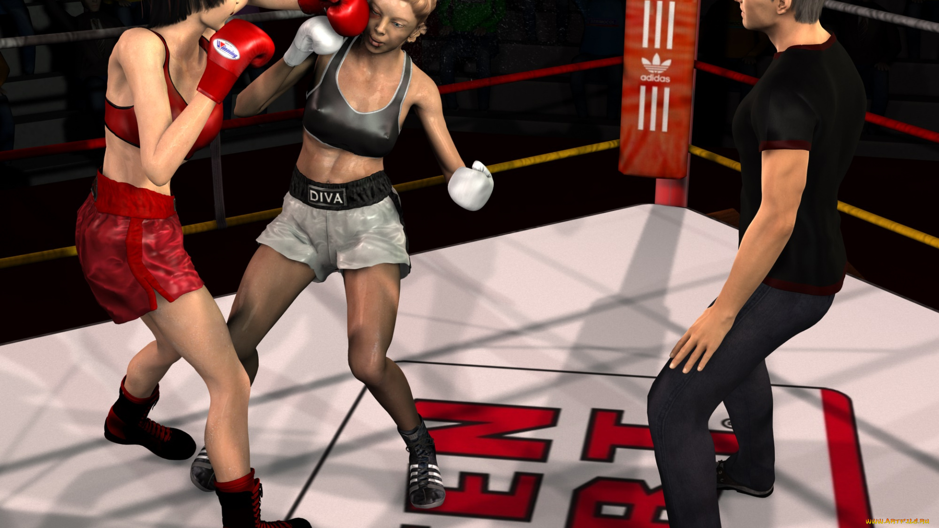 3д, графика, спорт, , sport, ринг, фон, взгляд, девушки