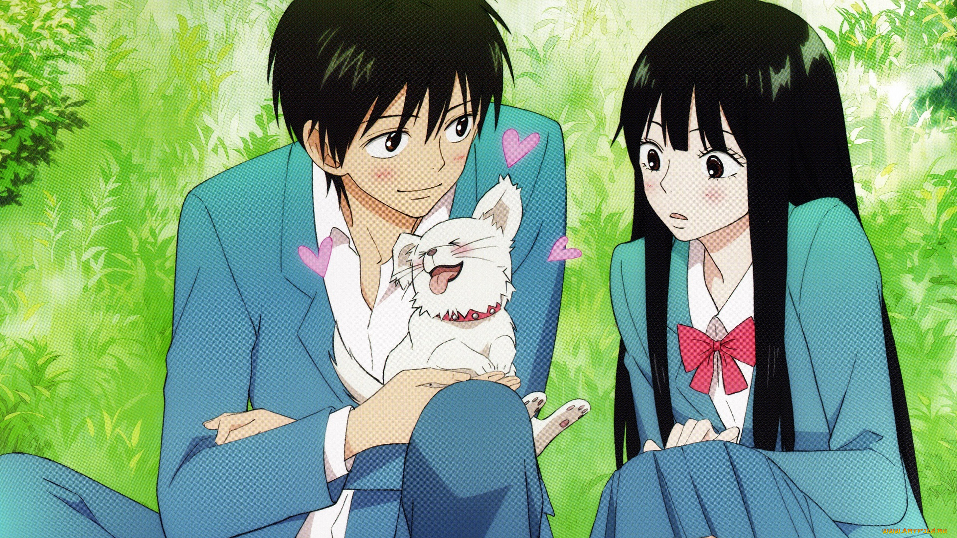 аниме, kimi, ni, todoke, пара