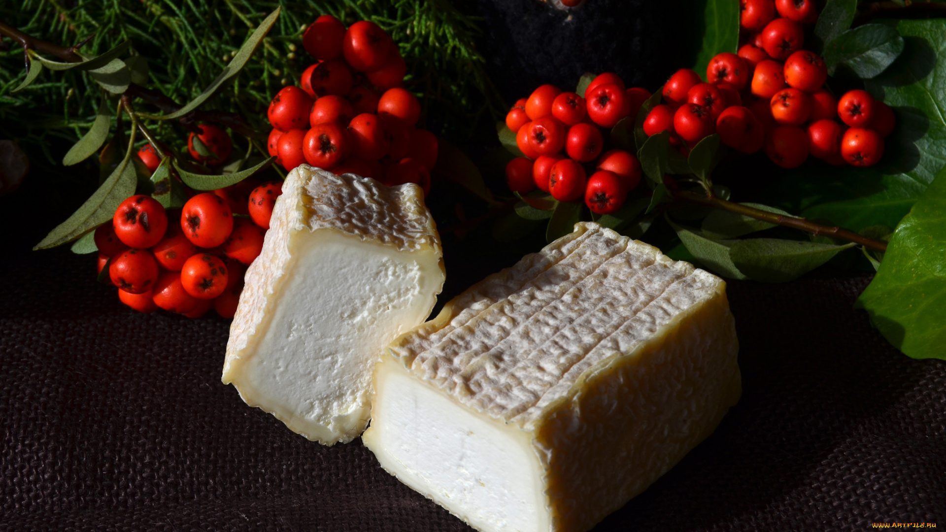 еда, сырные, изделия, сыр