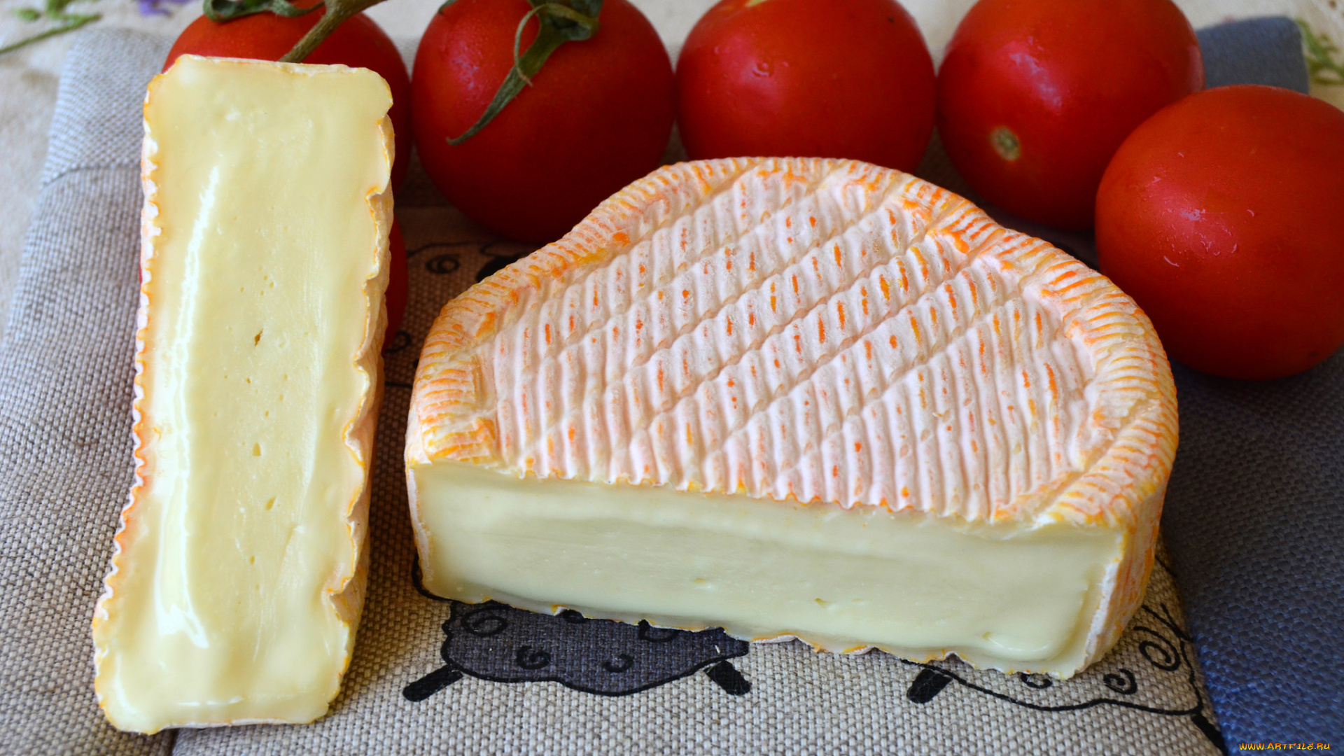 еда, сырные, изделия, сыр, помидоры, томаты