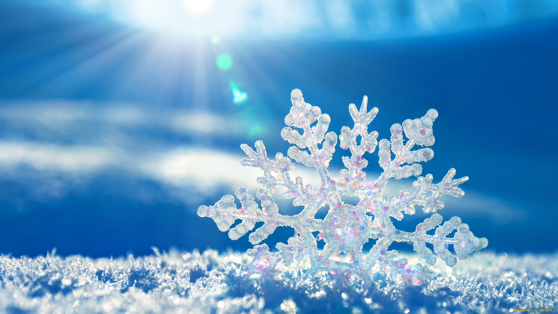 природа, макро, снежинка, холод, зима, вода, лёд, снег