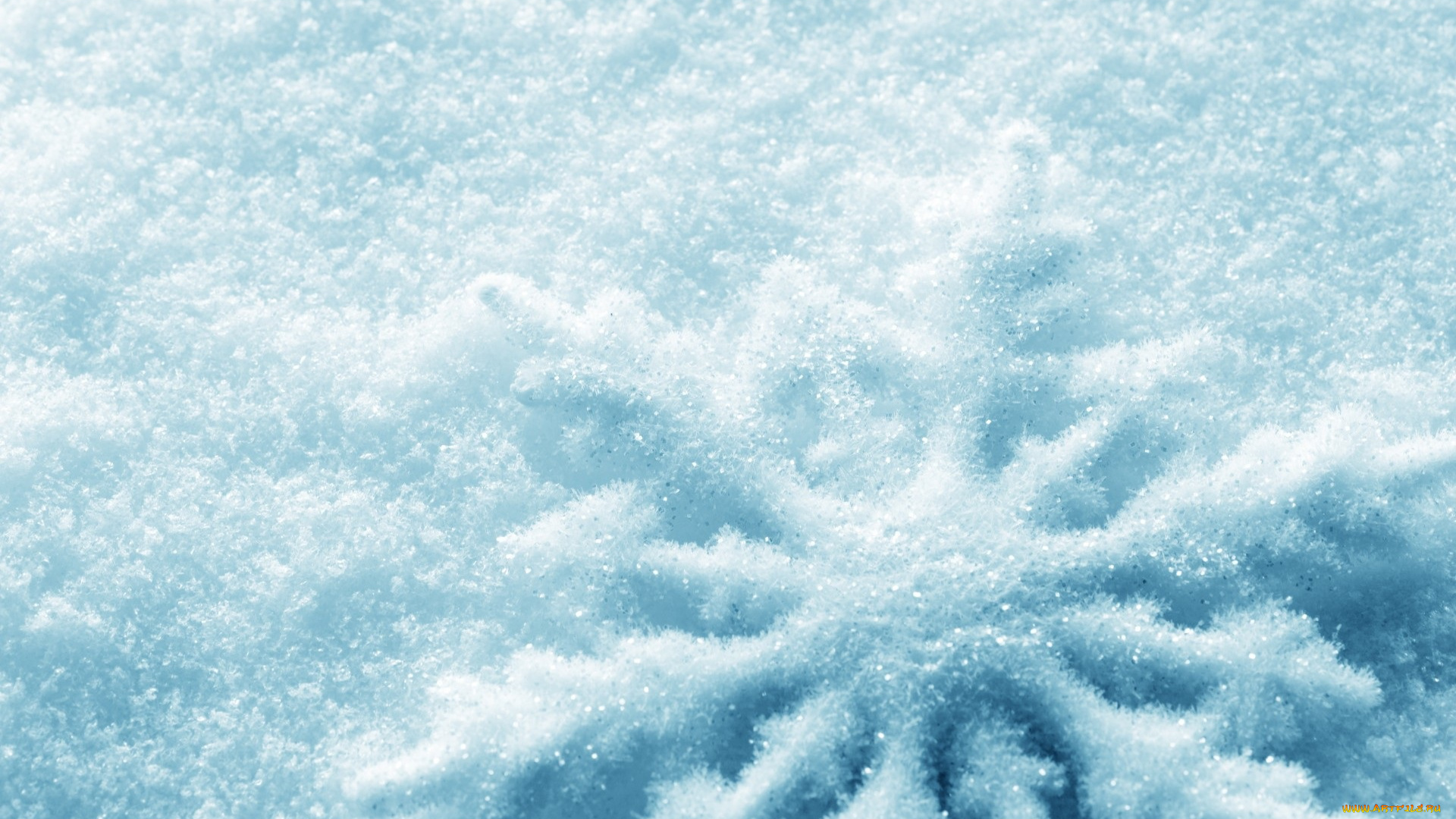 природа, макро, зима, вода, холод, снежинка, снег, лёд