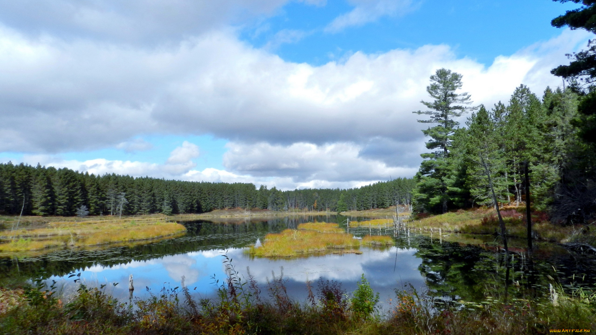 природа, реки, озера, деревья, вода