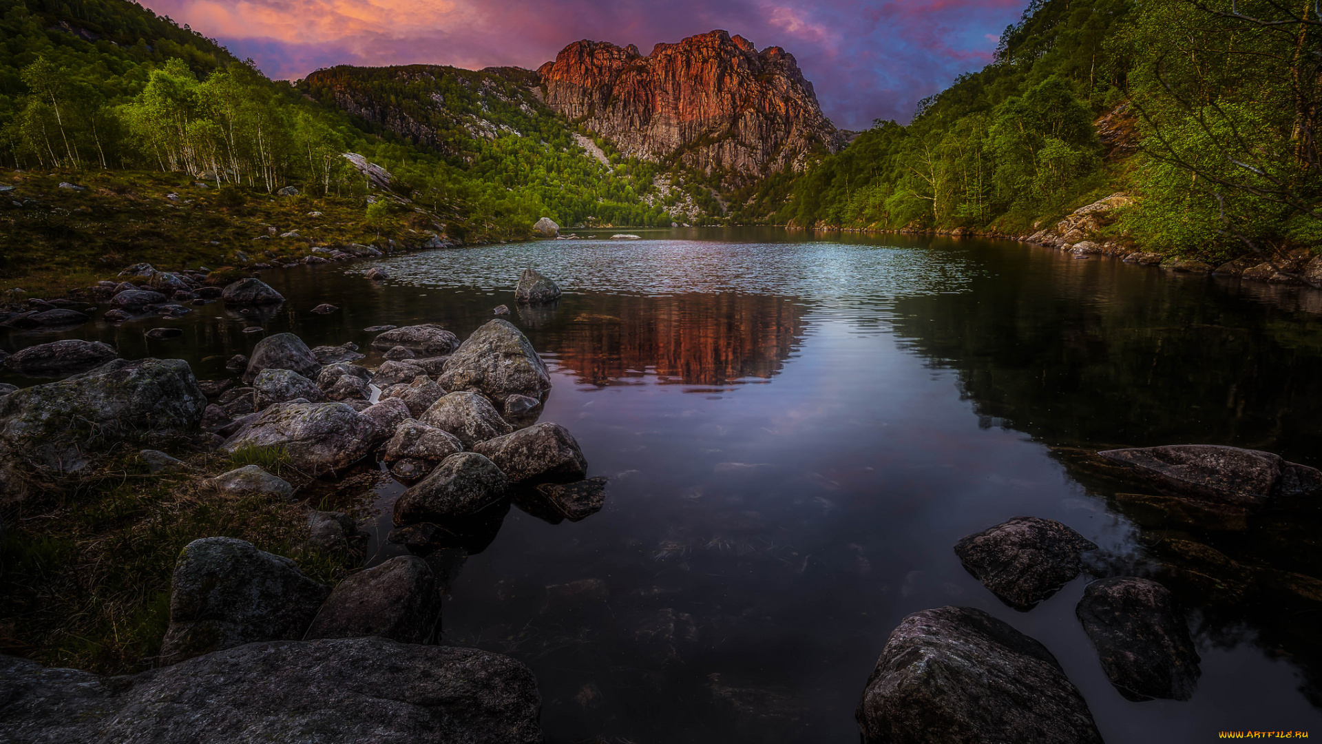 природа, реки, озера, лес, река